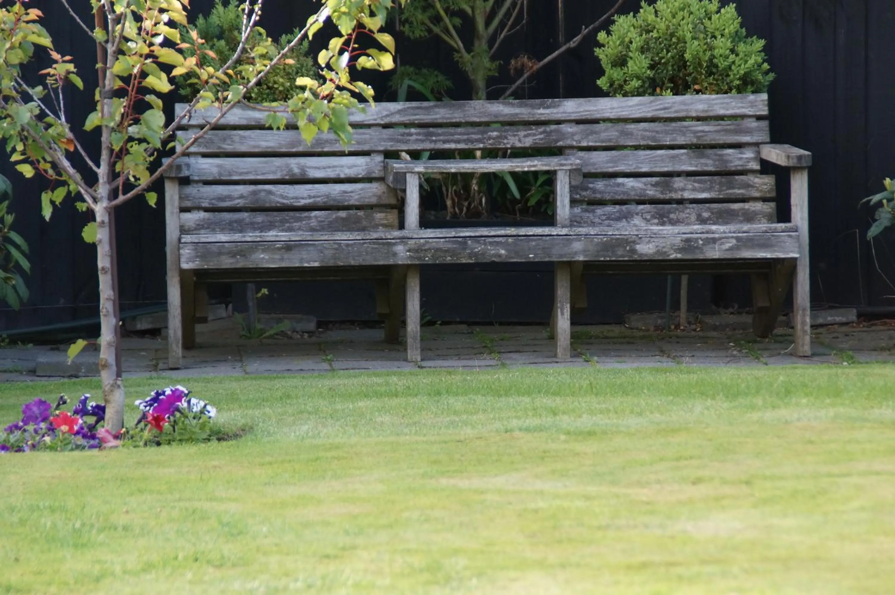 Garden in Olive House Bed and Breakfast