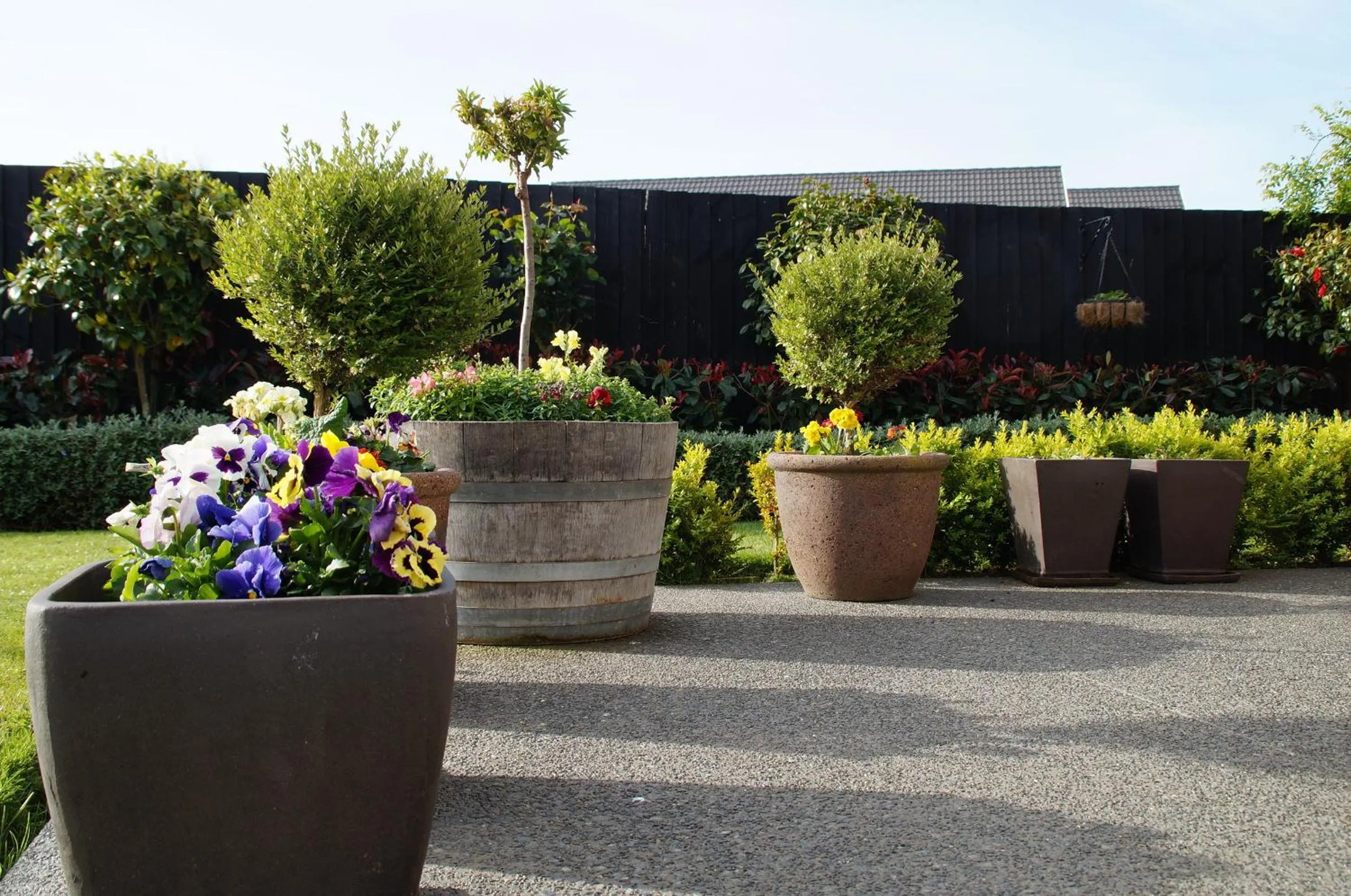 Garden in Olive House Bed and Breakfast