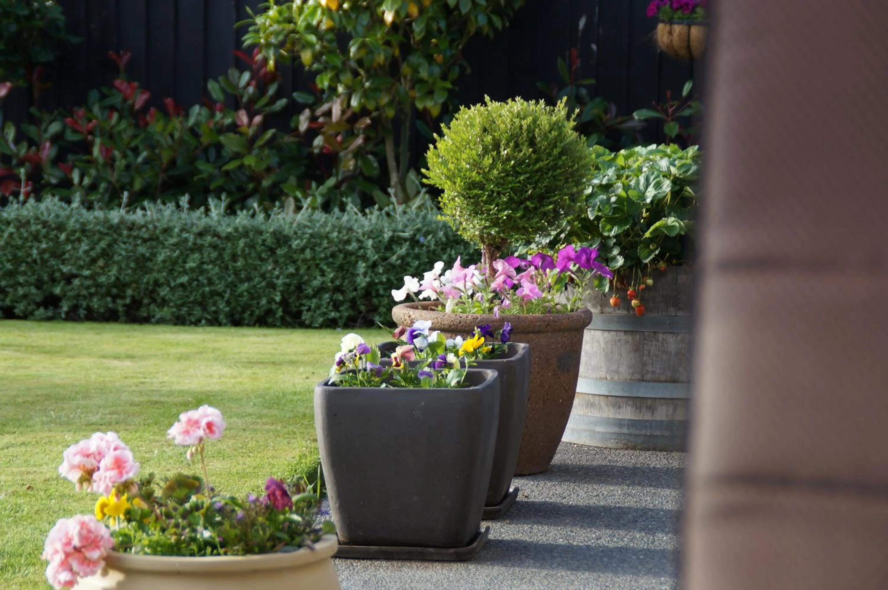 Garden in Olive House Bed and Breakfast