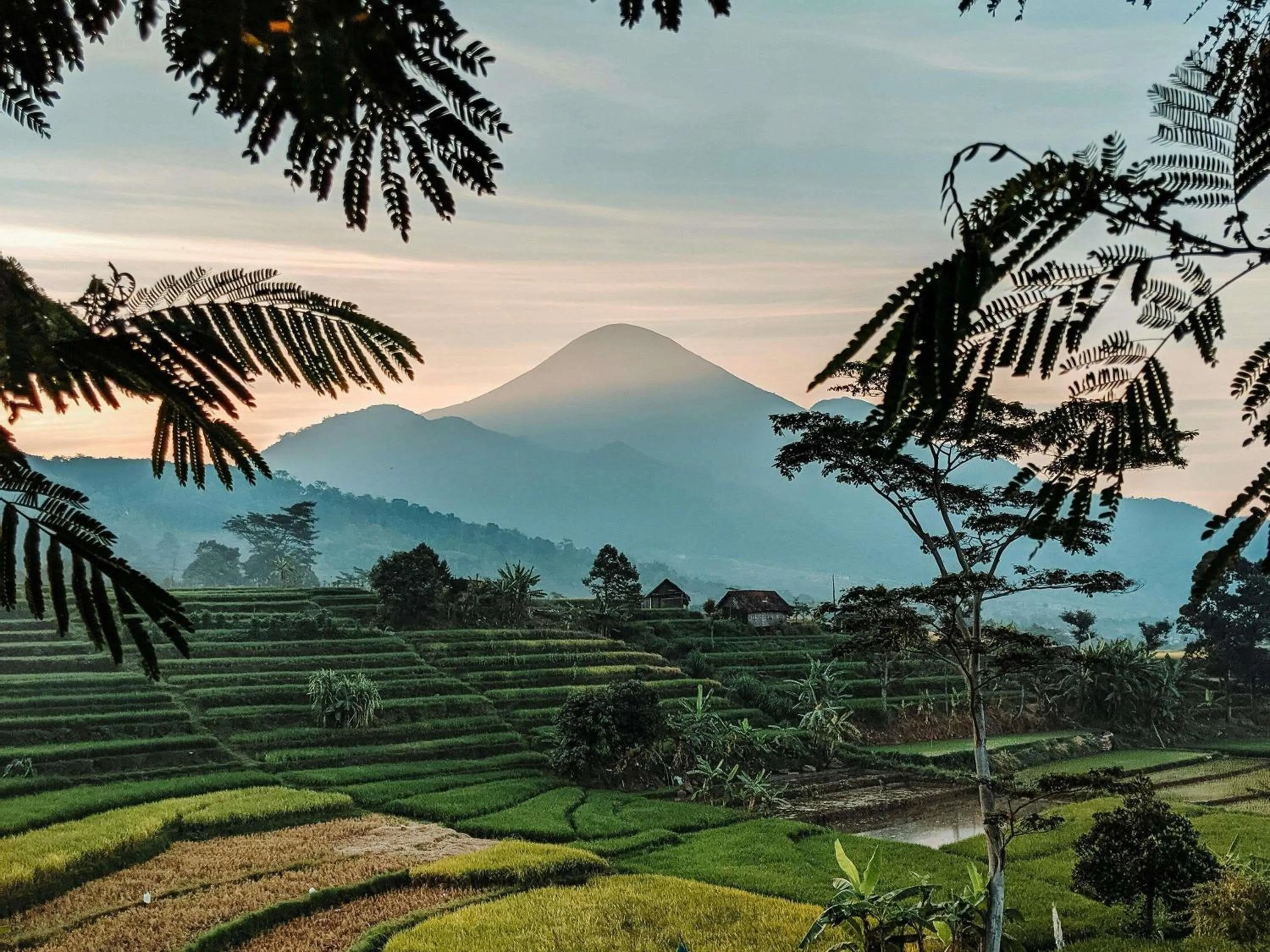 Other in Veranda High Resort Chiang Mai - MGallery Collection, Accor Hotel