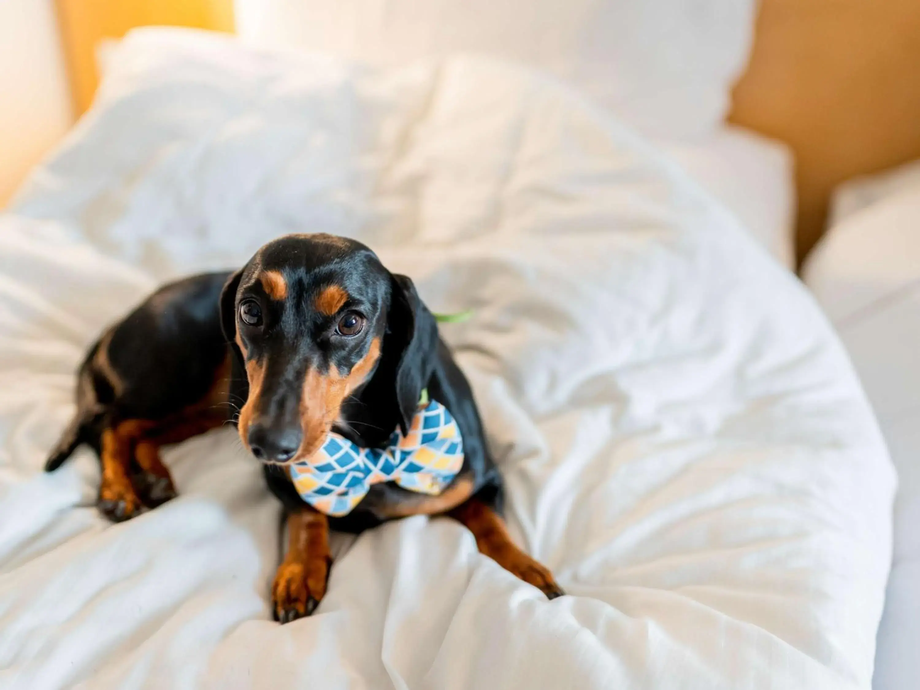 Standard Twin Room in ibis Nürnberg Hauptbahnhof Standard Twin Room in ibis Nürnberg Hauptbahnhof