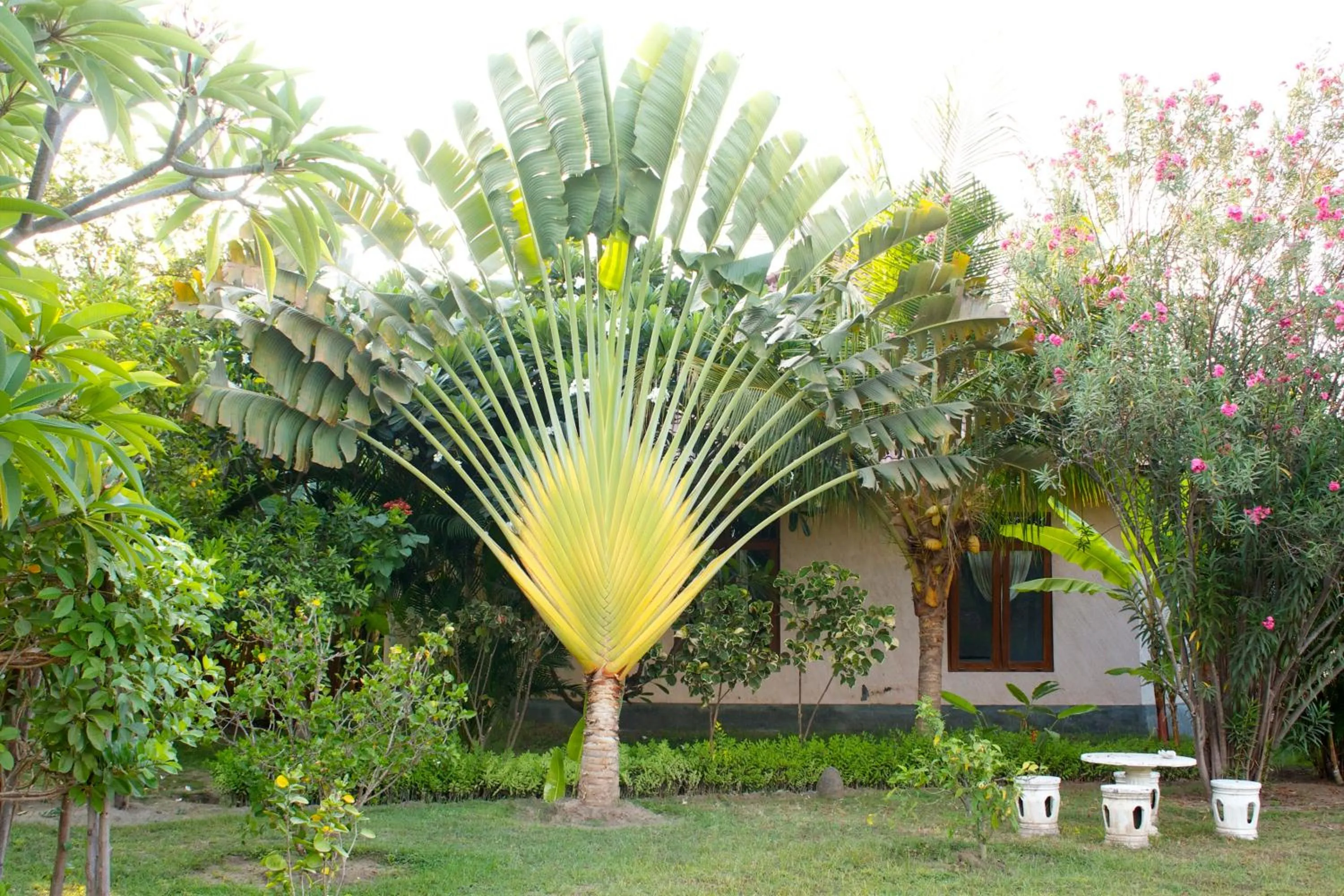 Garden in Bali Oase Resort