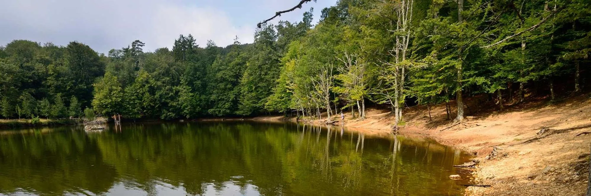 Beach in Albergo Villa Bianca