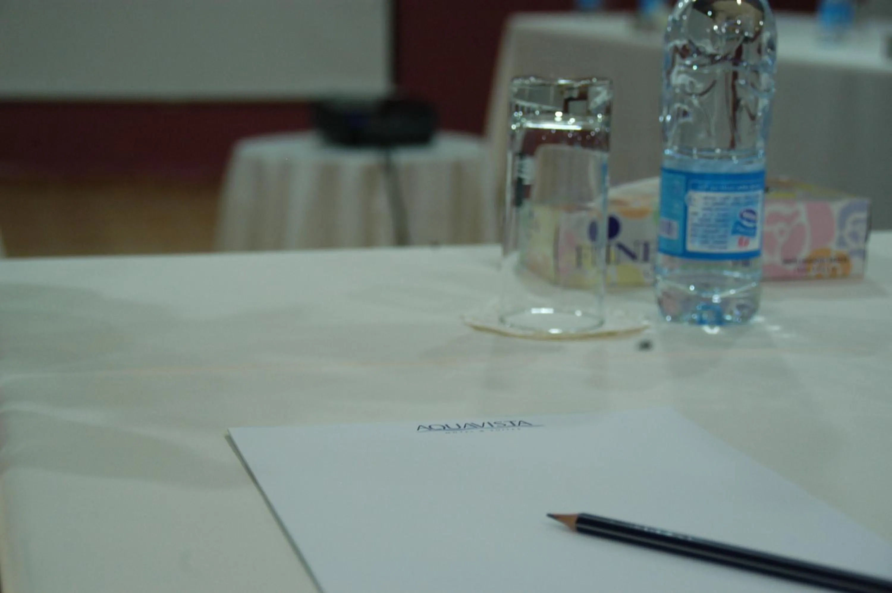 Business facilities in Aquavista Hotel & Suites