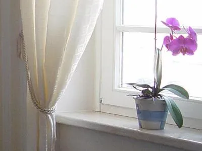 Other in Hotel Altes Hafenhaus