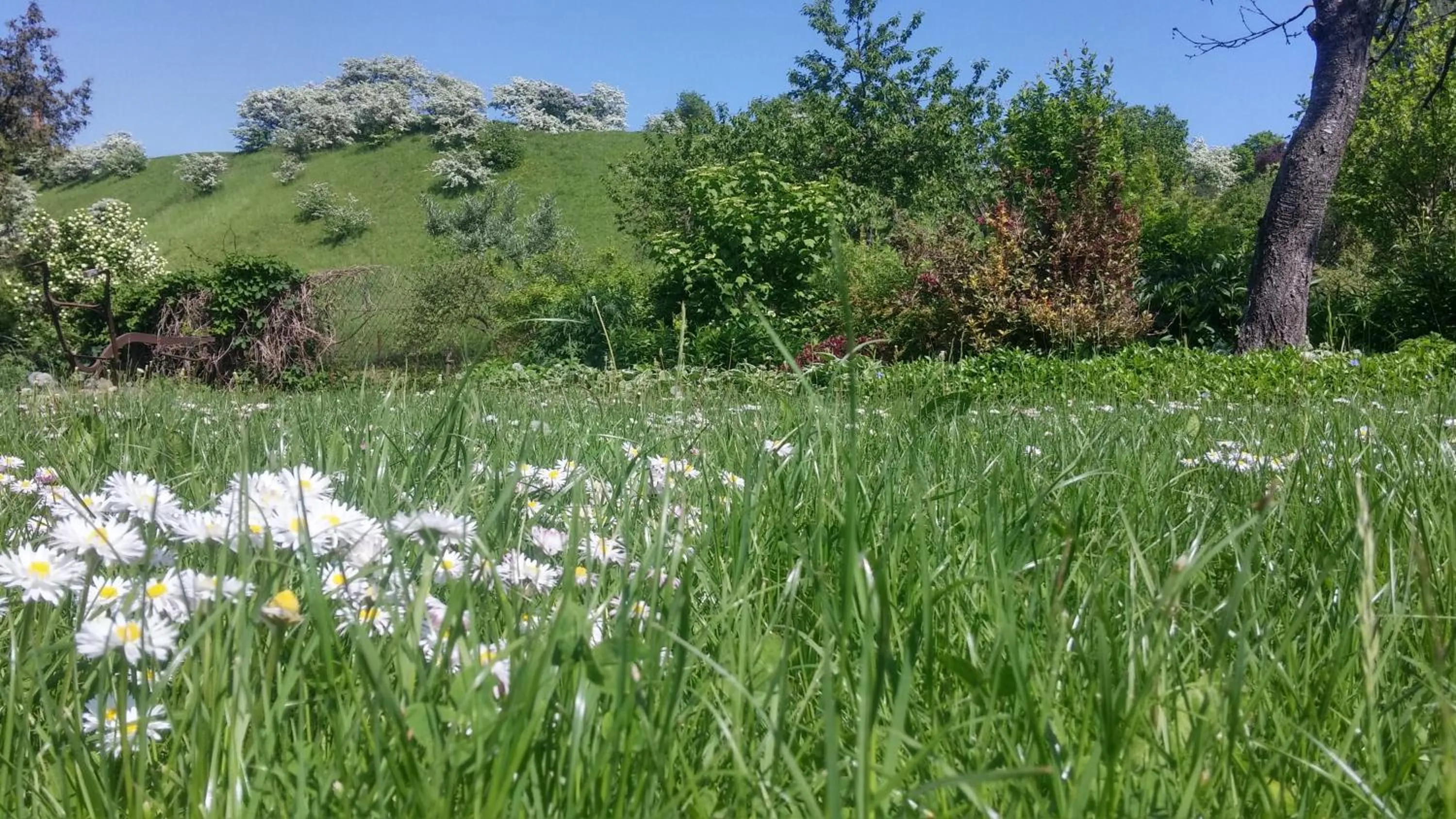 Natural landscape in Saule