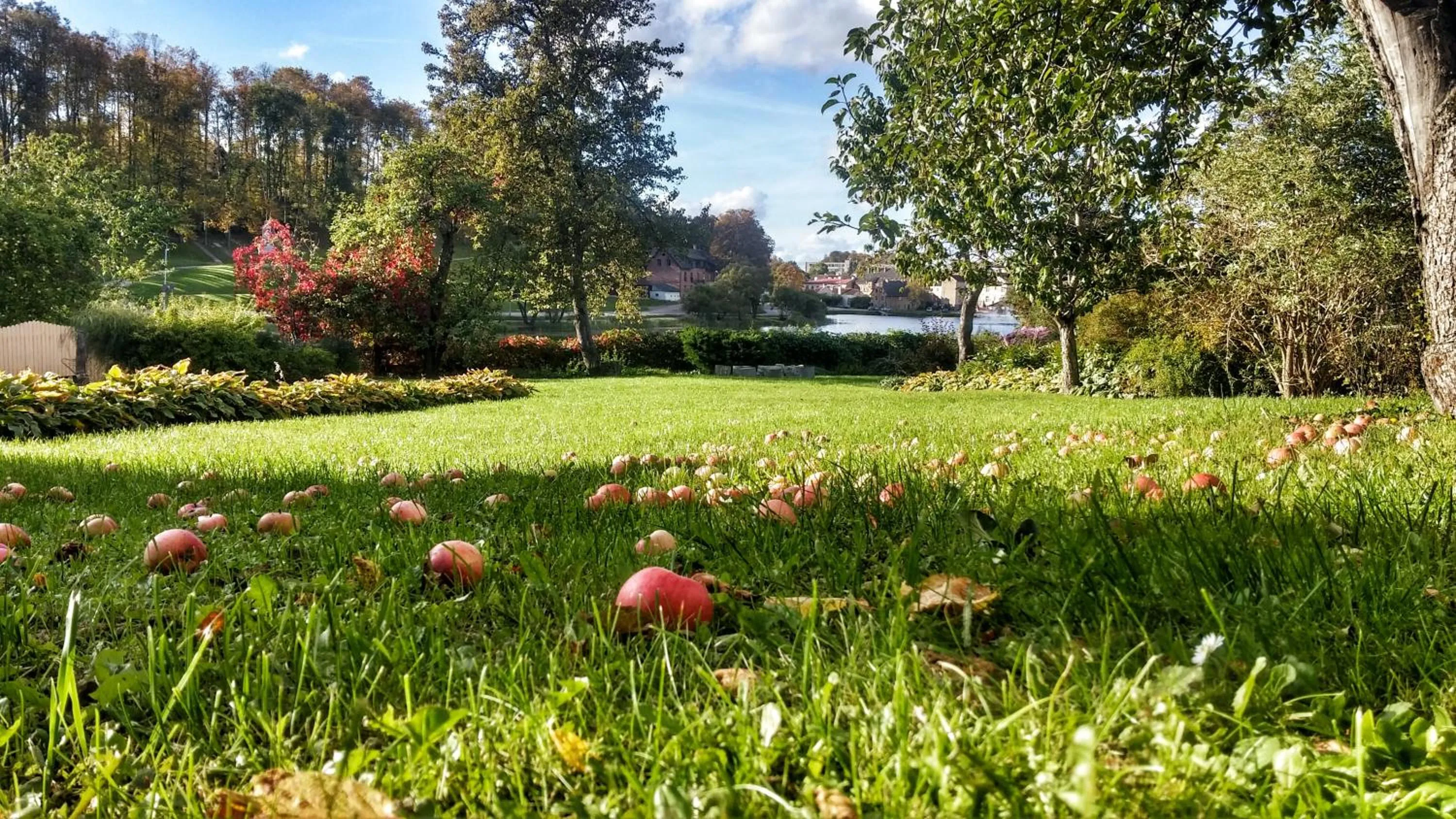 Natural landscape in Saule