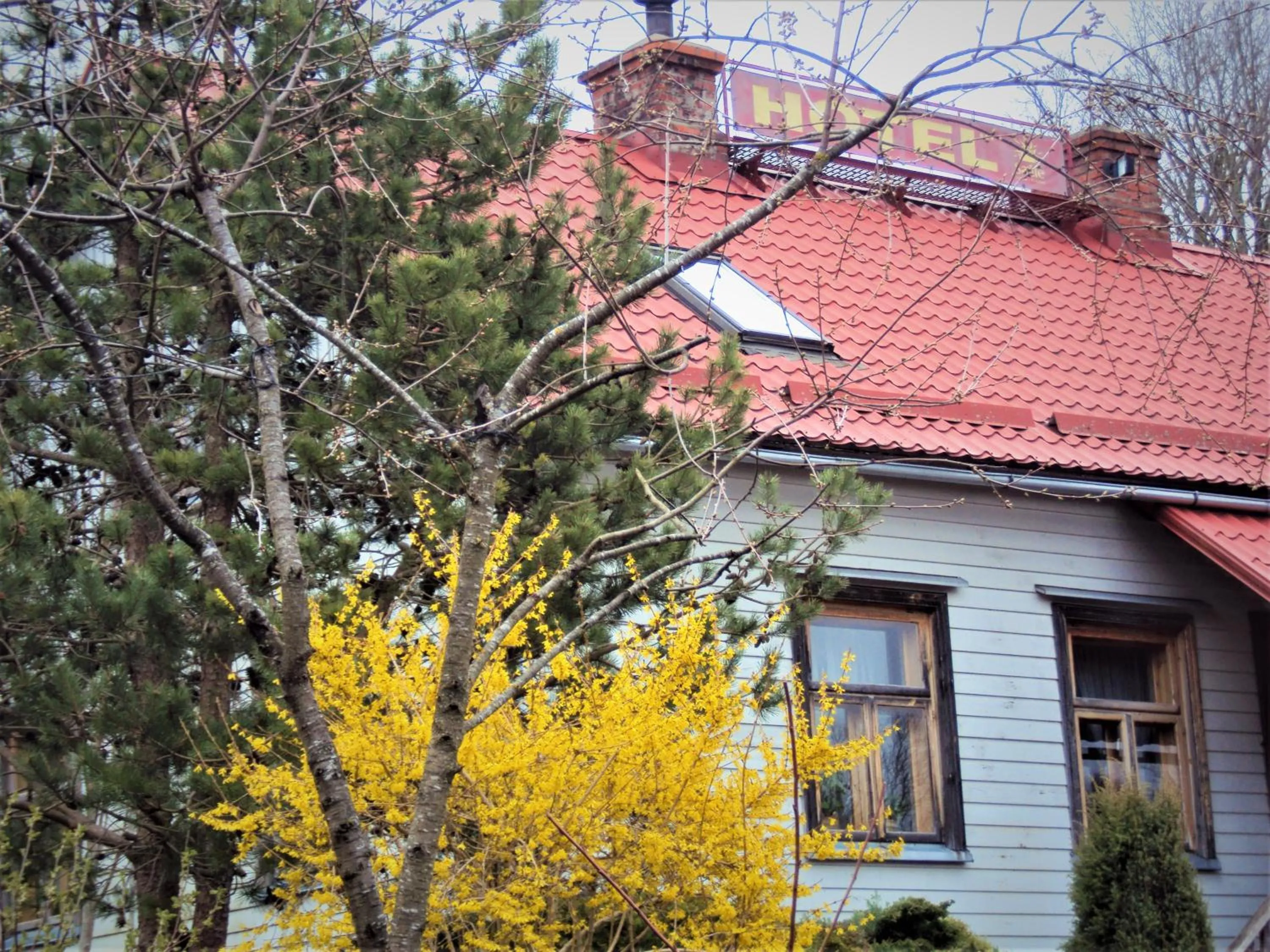 Property building in Saule