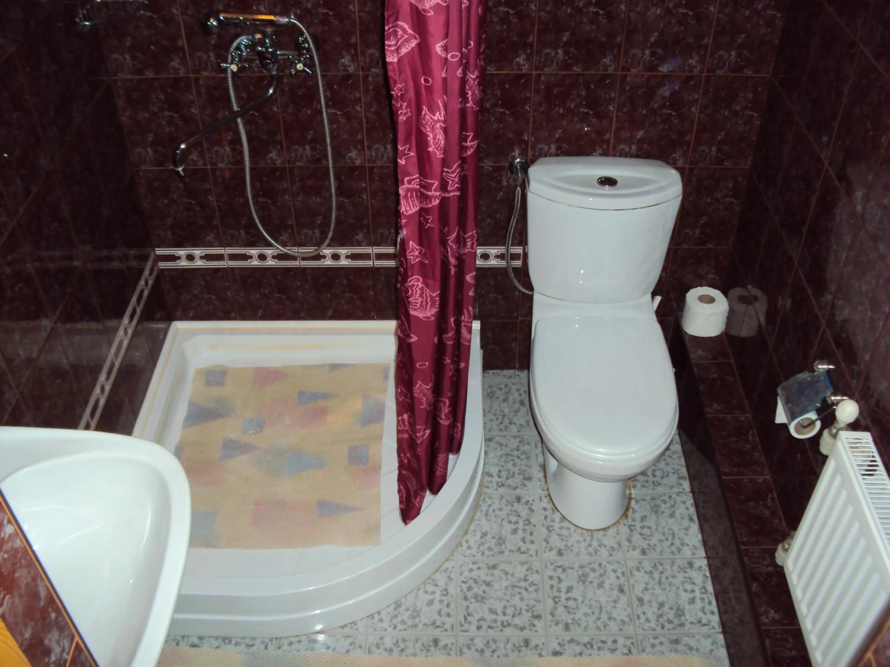Shower in Saule