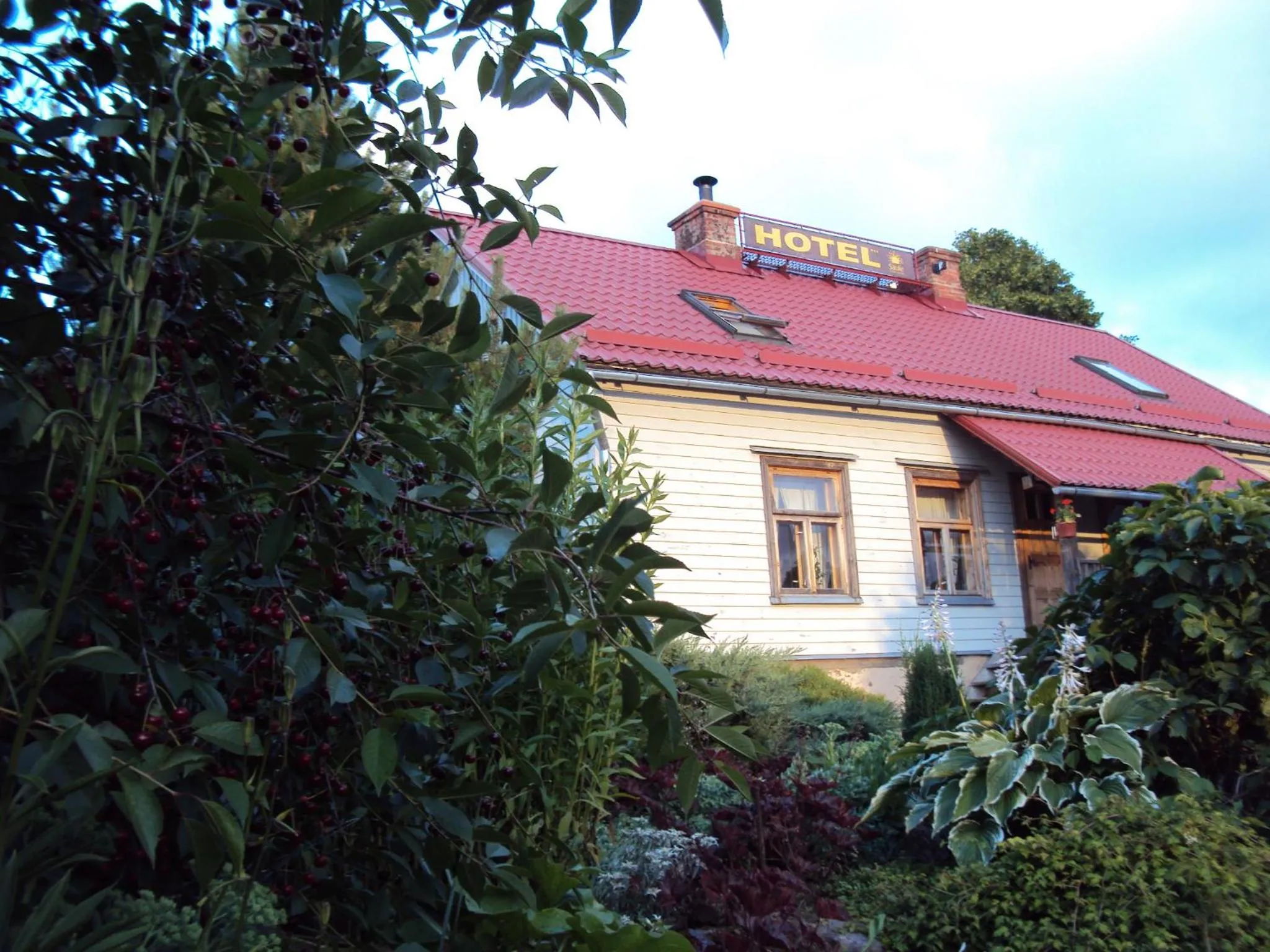 Property building in Saule
