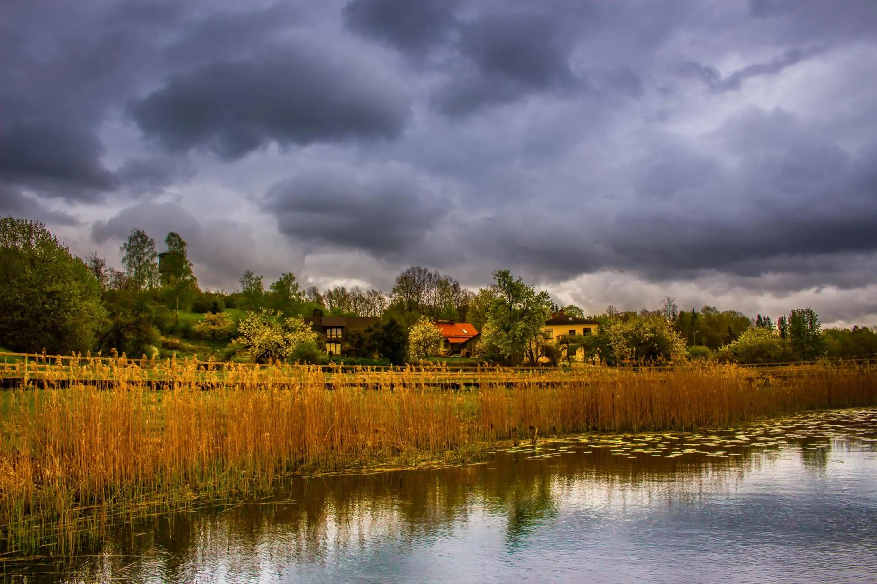Spring in Saule