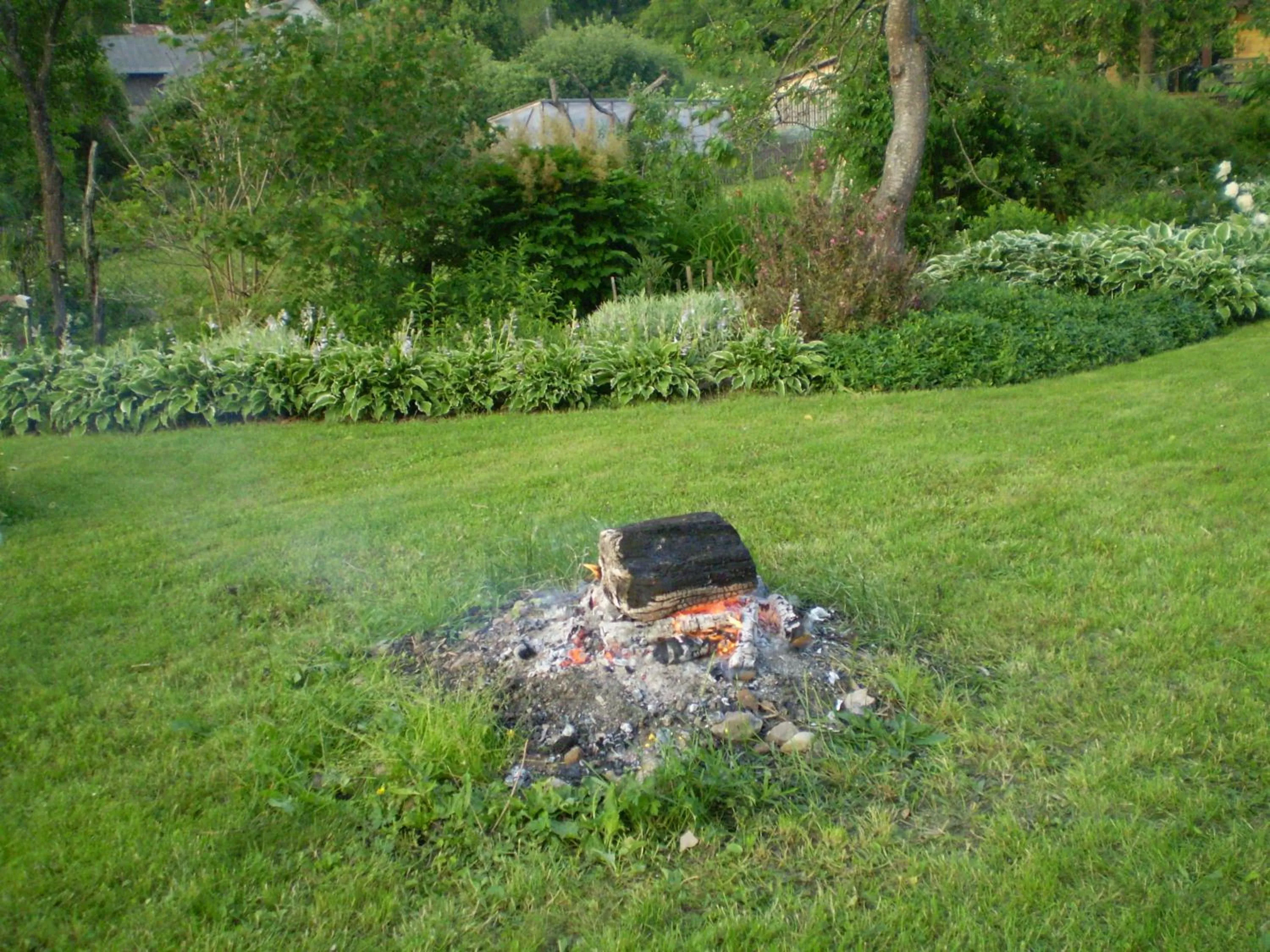 BBQ facilities in Saule