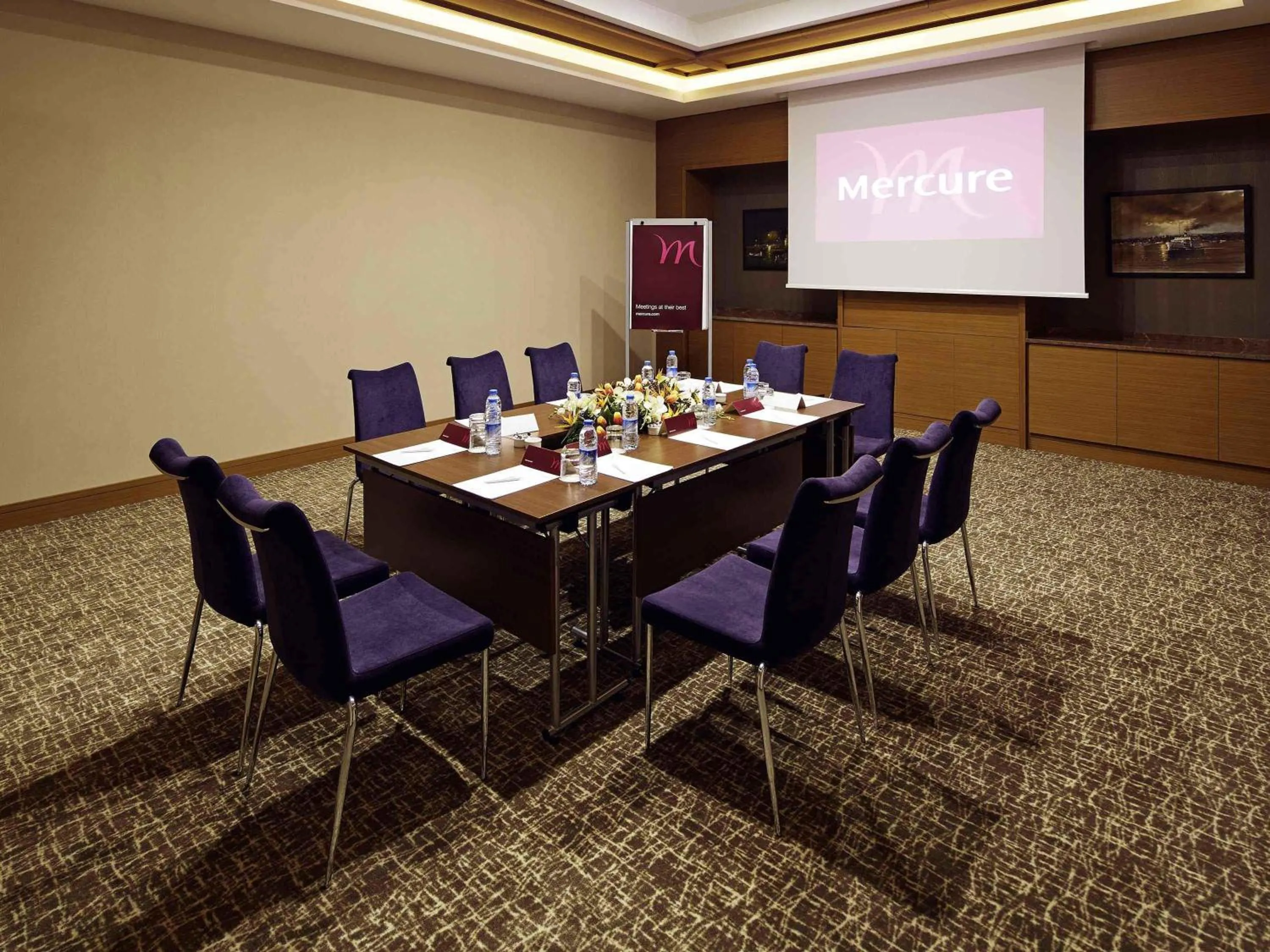 Meeting/conference room in Mercure Istanbul Altunizade