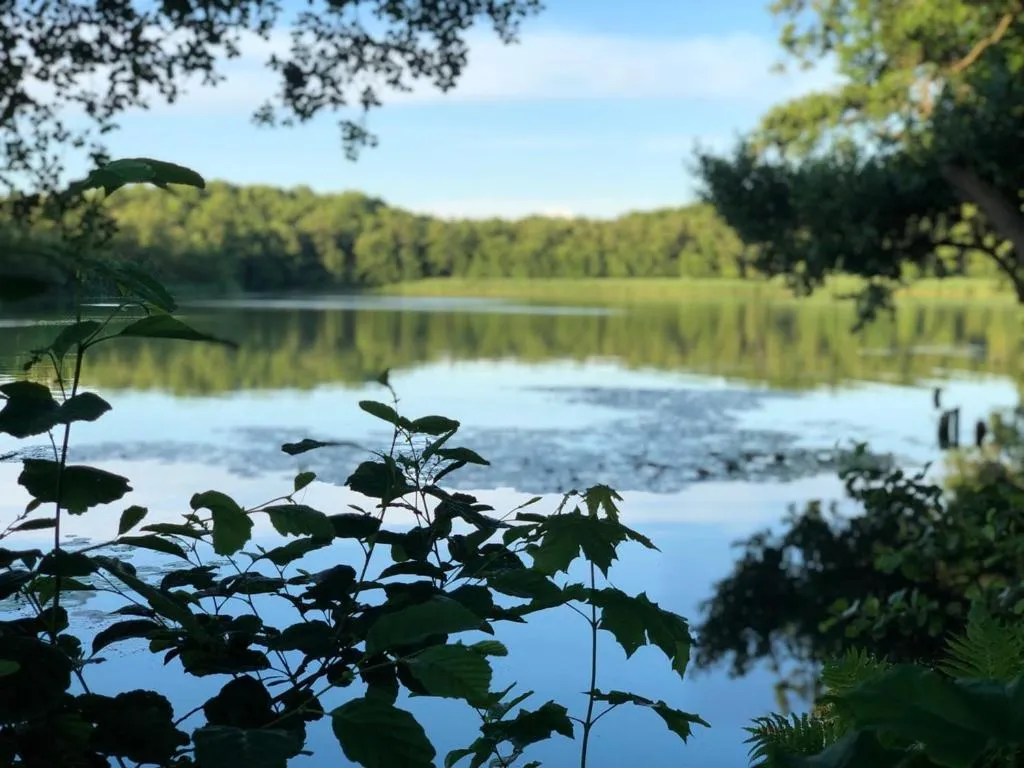 Garden in Seehotel Villago