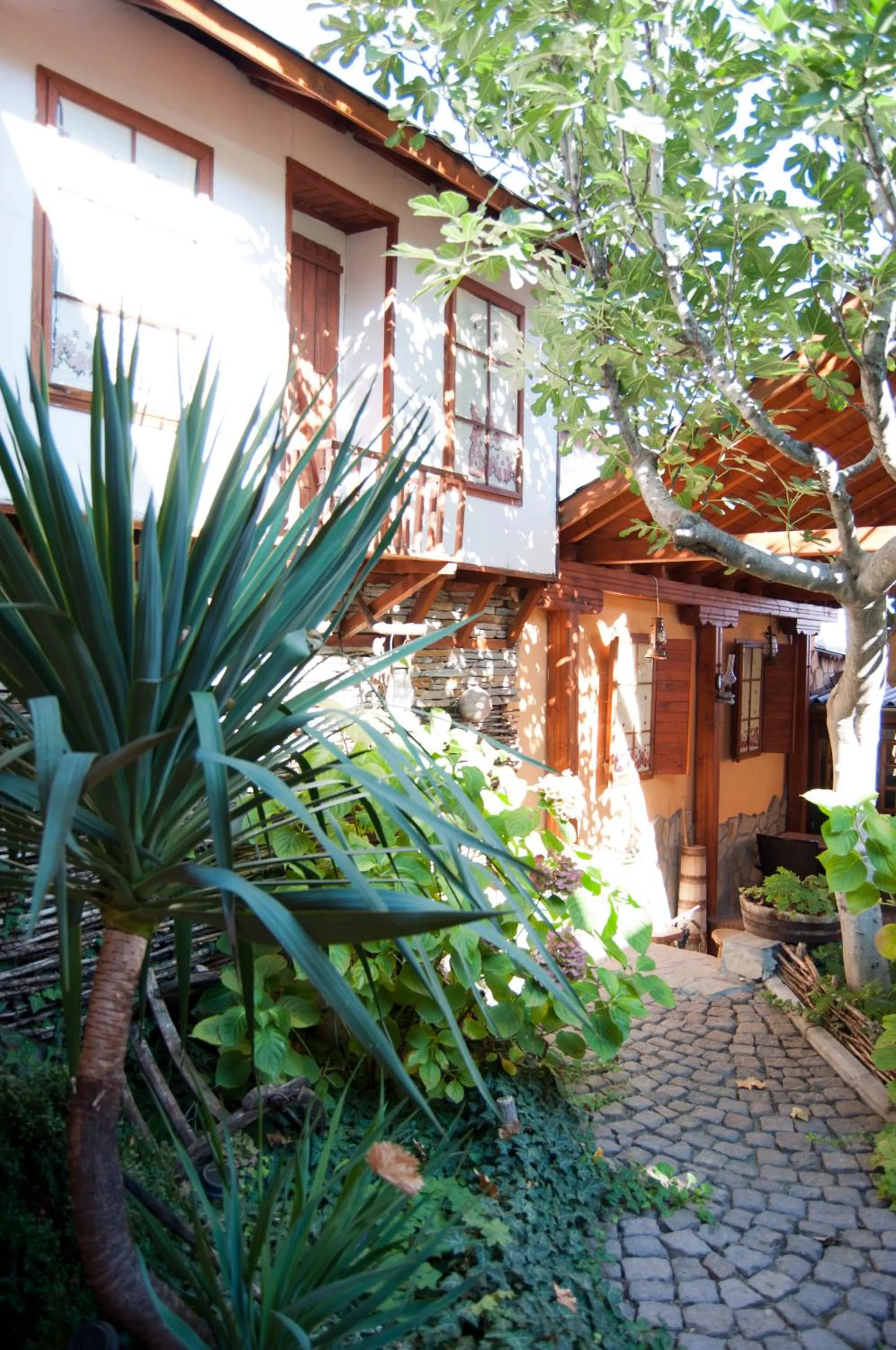 Day in Family Hotel Ogi