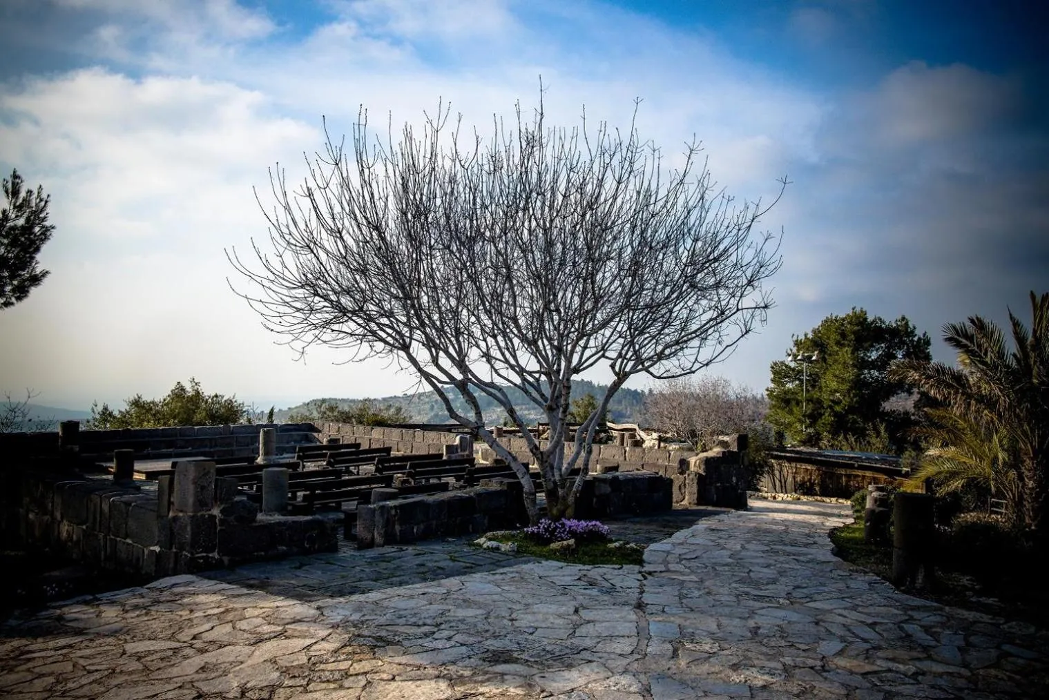 Natural landscape in Logos hotel in Yad Hashmona