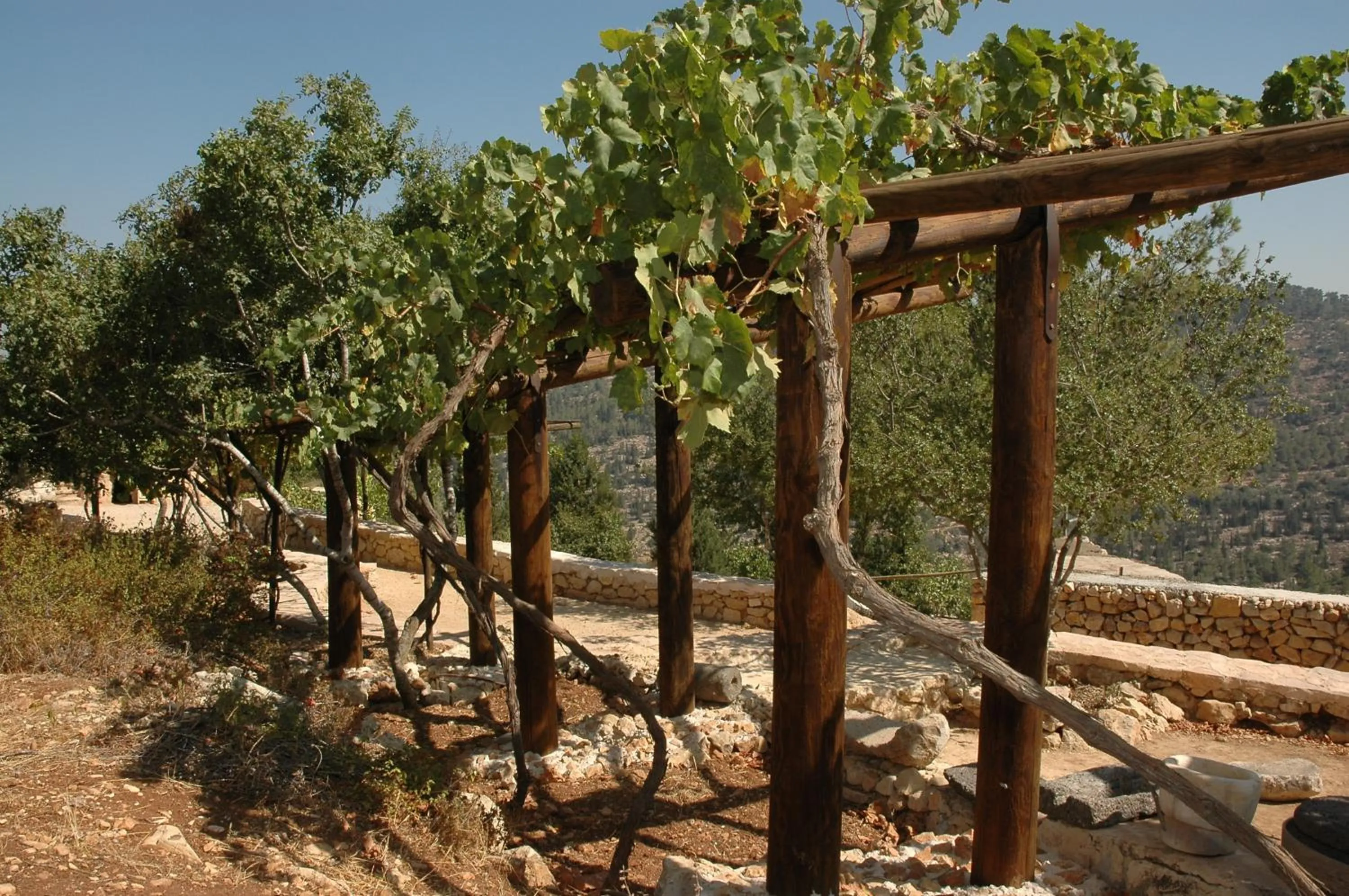 View (from property/room) in Logos hotel in Yad Hashmona