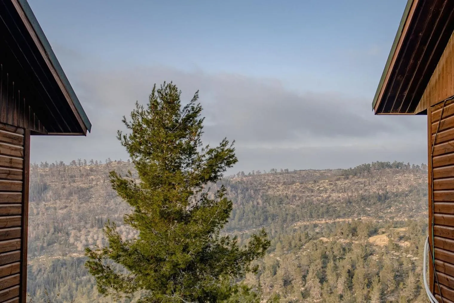 Natural landscape in Logos hotel in Yad Hashmona