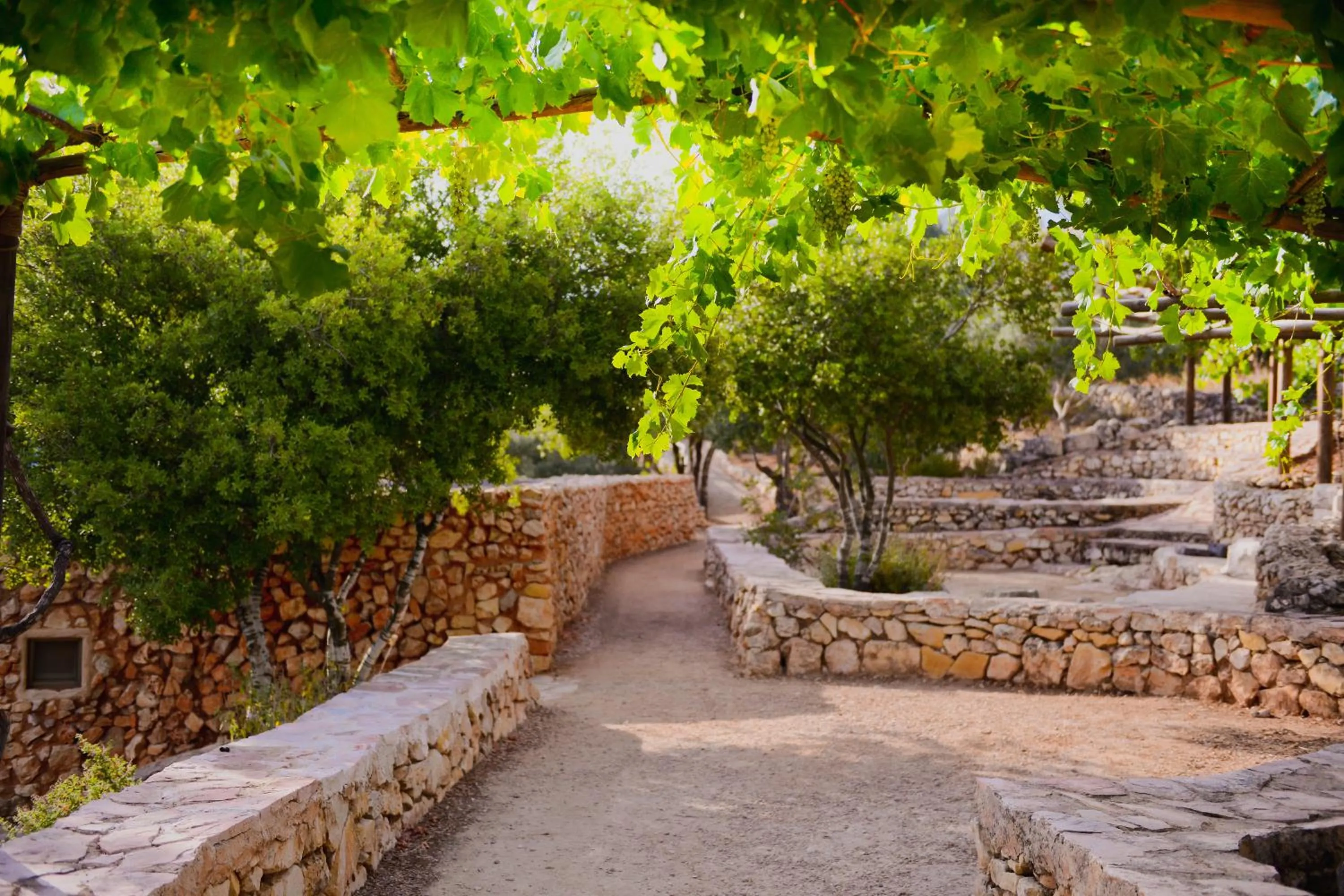 River view in Logos hotel in Yad Hashmona
