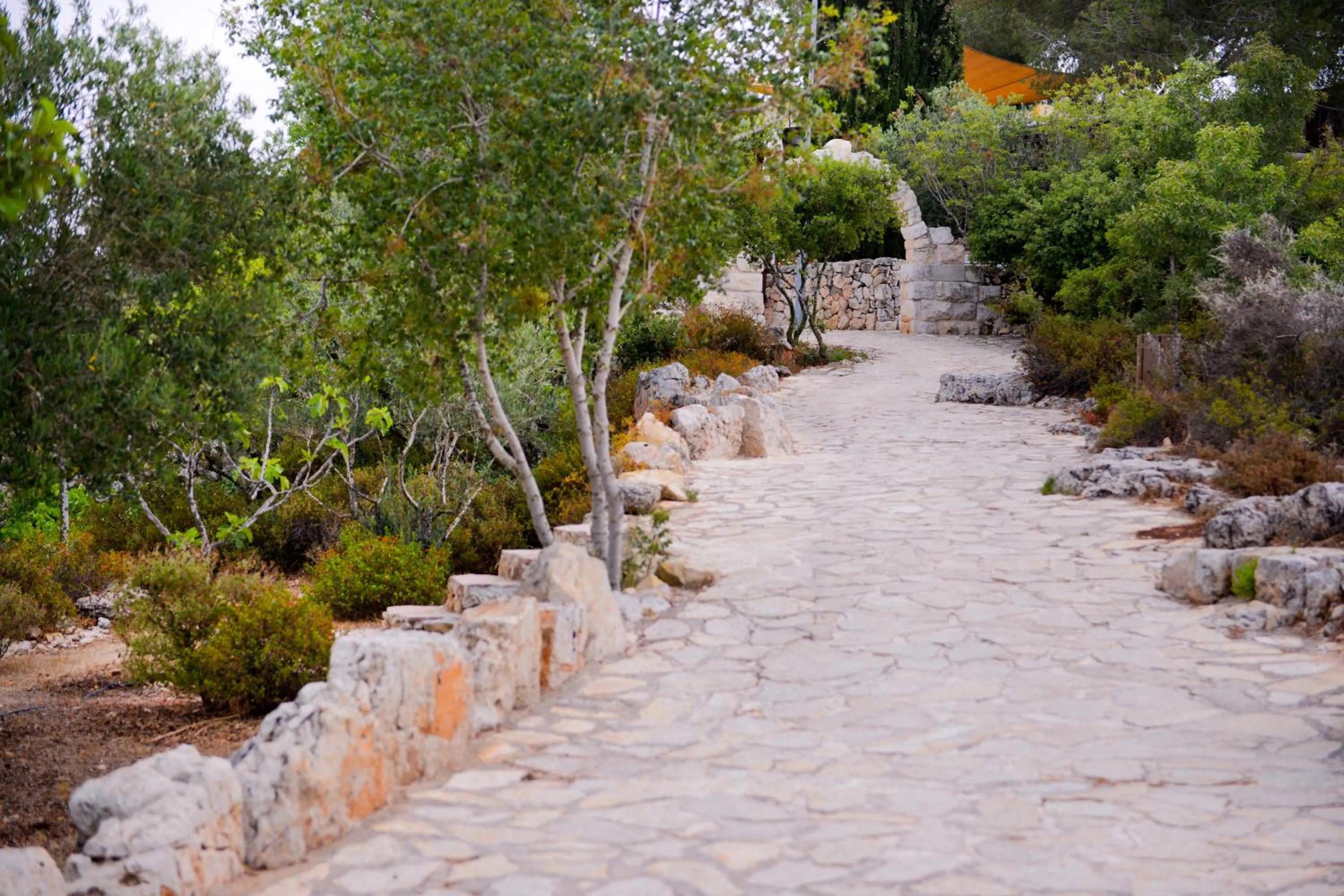 Garden in Logos hotel in Yad Hashmona