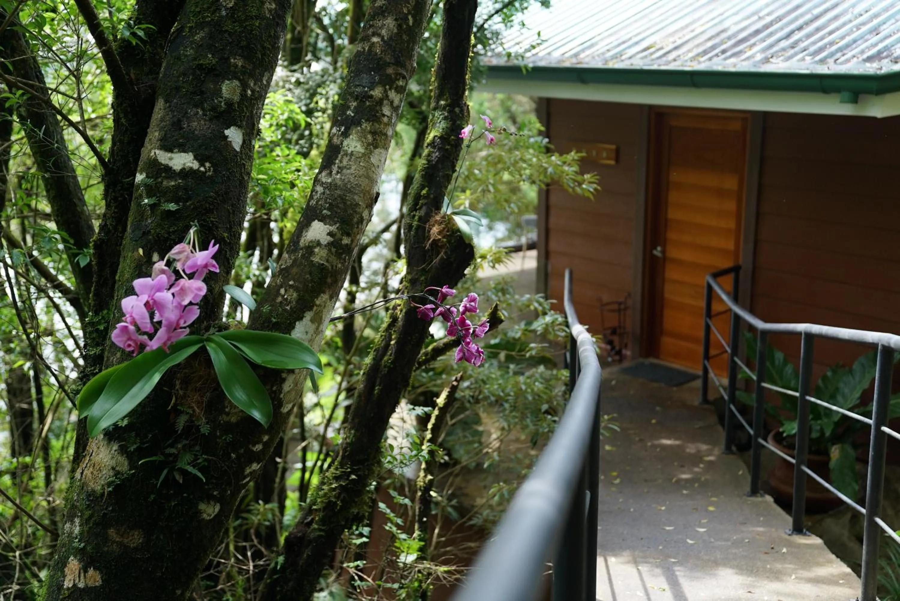 Property building in Koora Monteverde a Cloud Forest Hotel by Sandglass