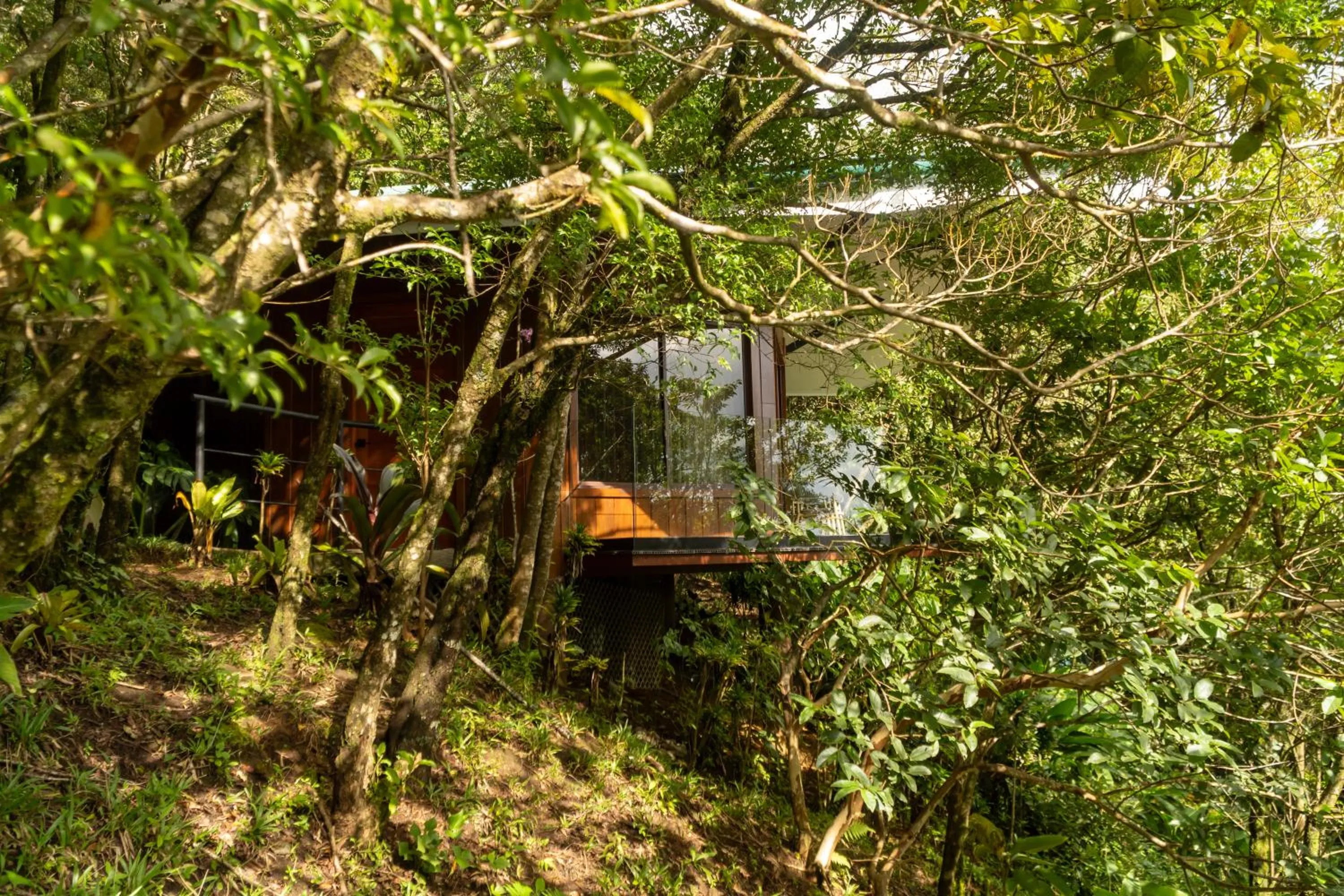 Natural landscape in Koora Monteverde a Cloud Forest Hotel by Sandglass