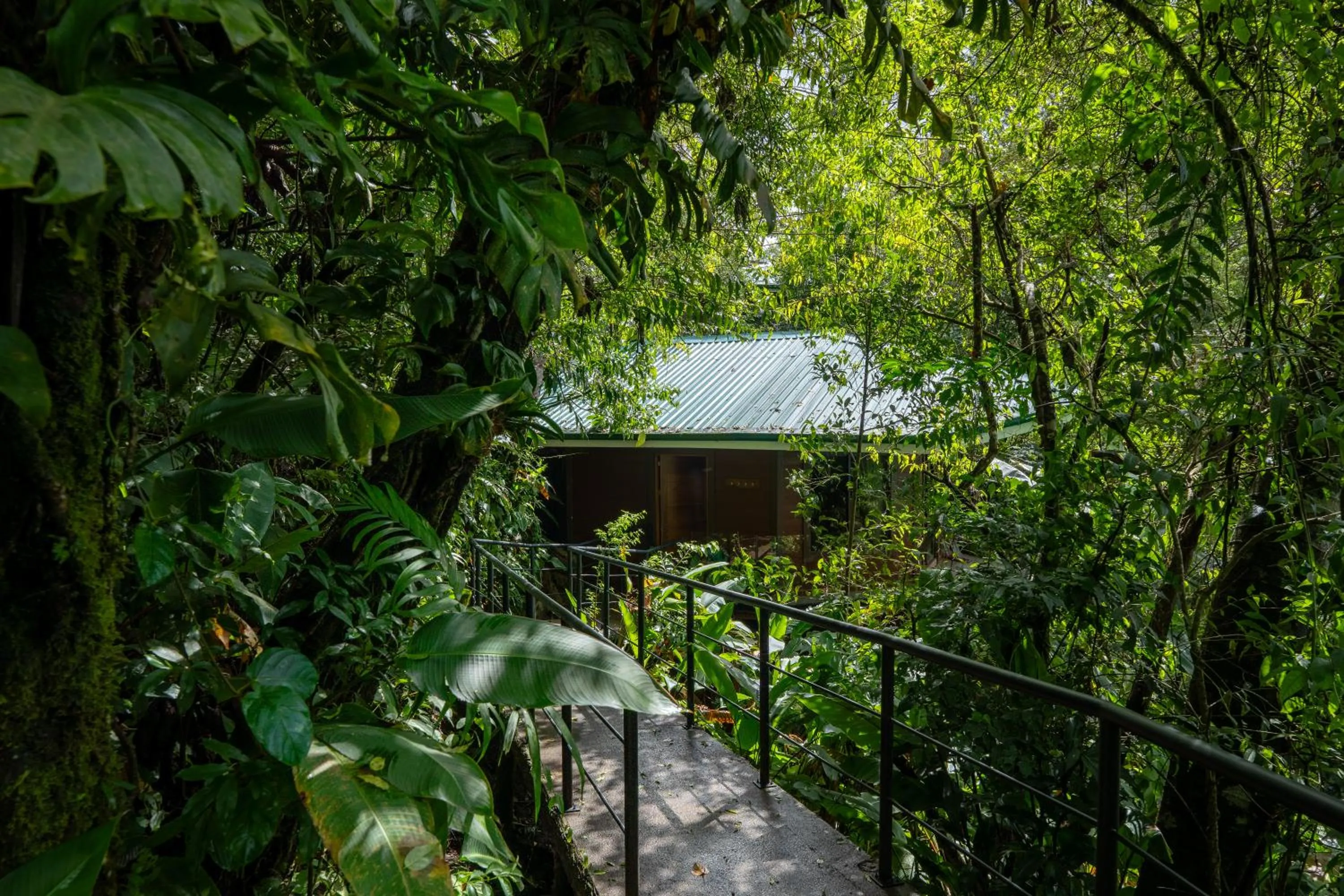 Natural landscape in Koora Monteverde a Cloud Forest Hotel by Sandglass