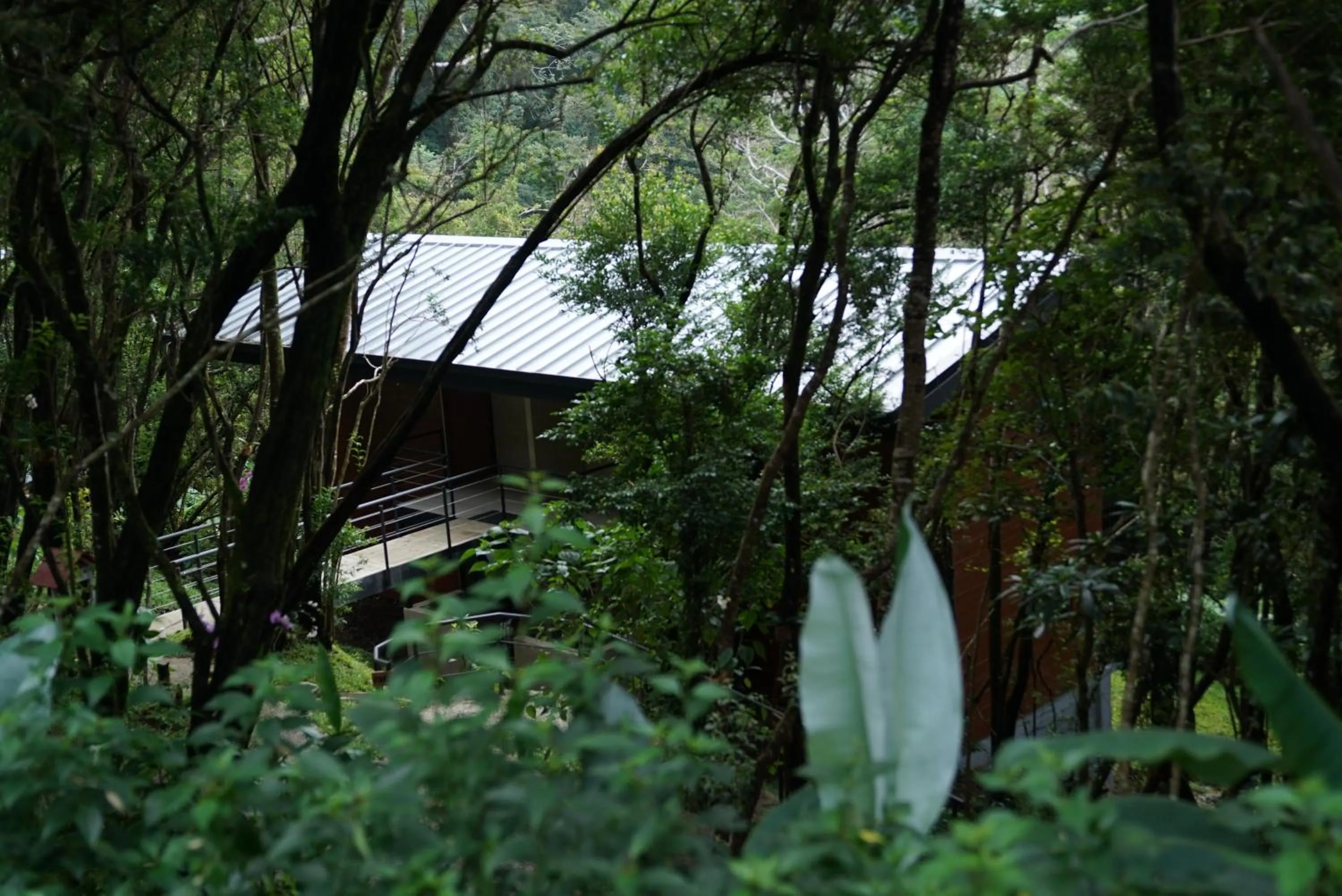 Natural landscape in Koora Monteverde a Cloud Forest Hotel by Sandglass