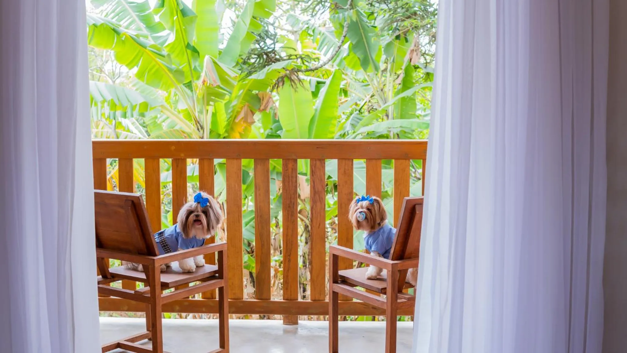 Lagoa Seca Hotel Rural