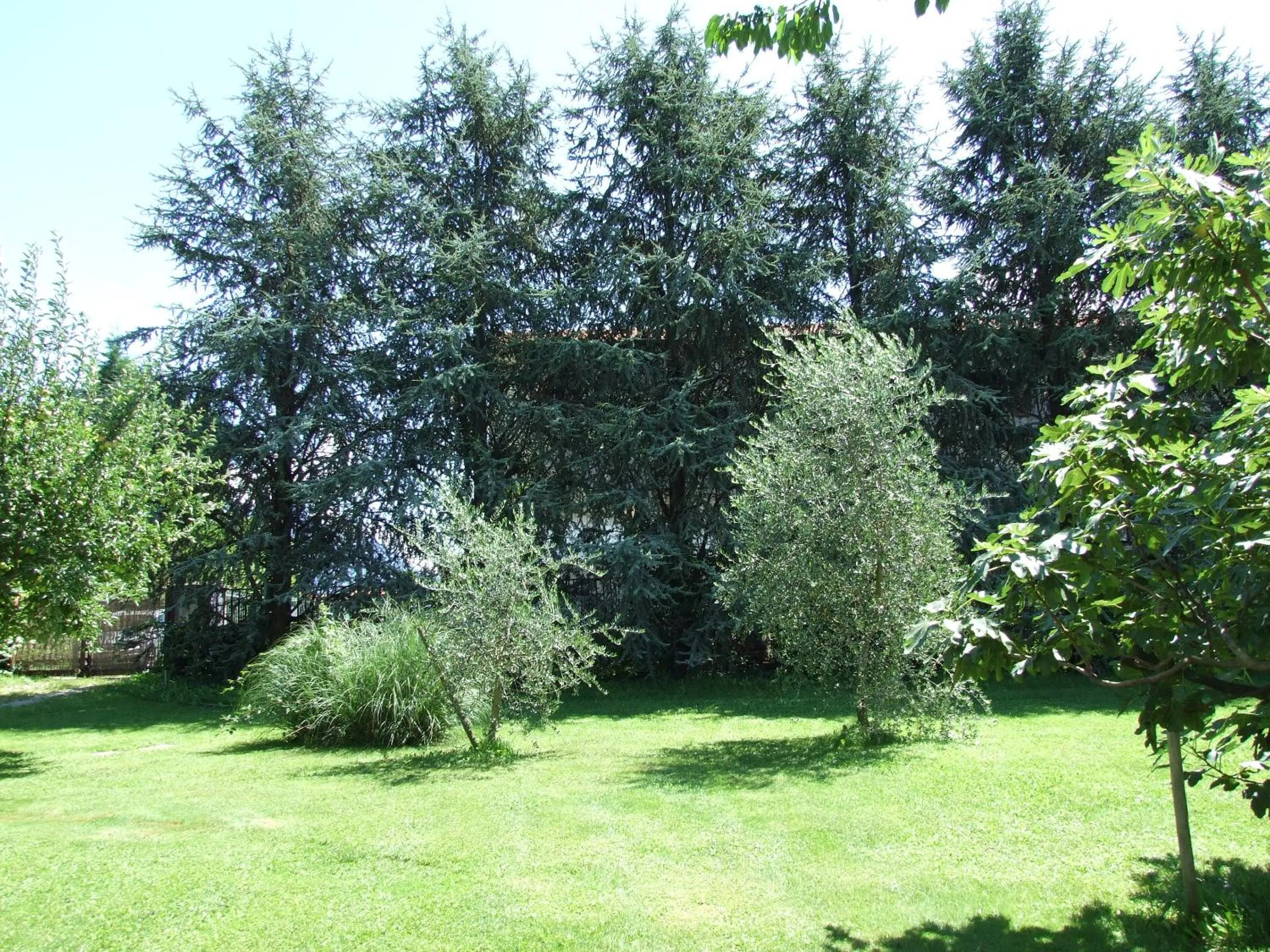 Garden in Agriturismo Cà Del Lago