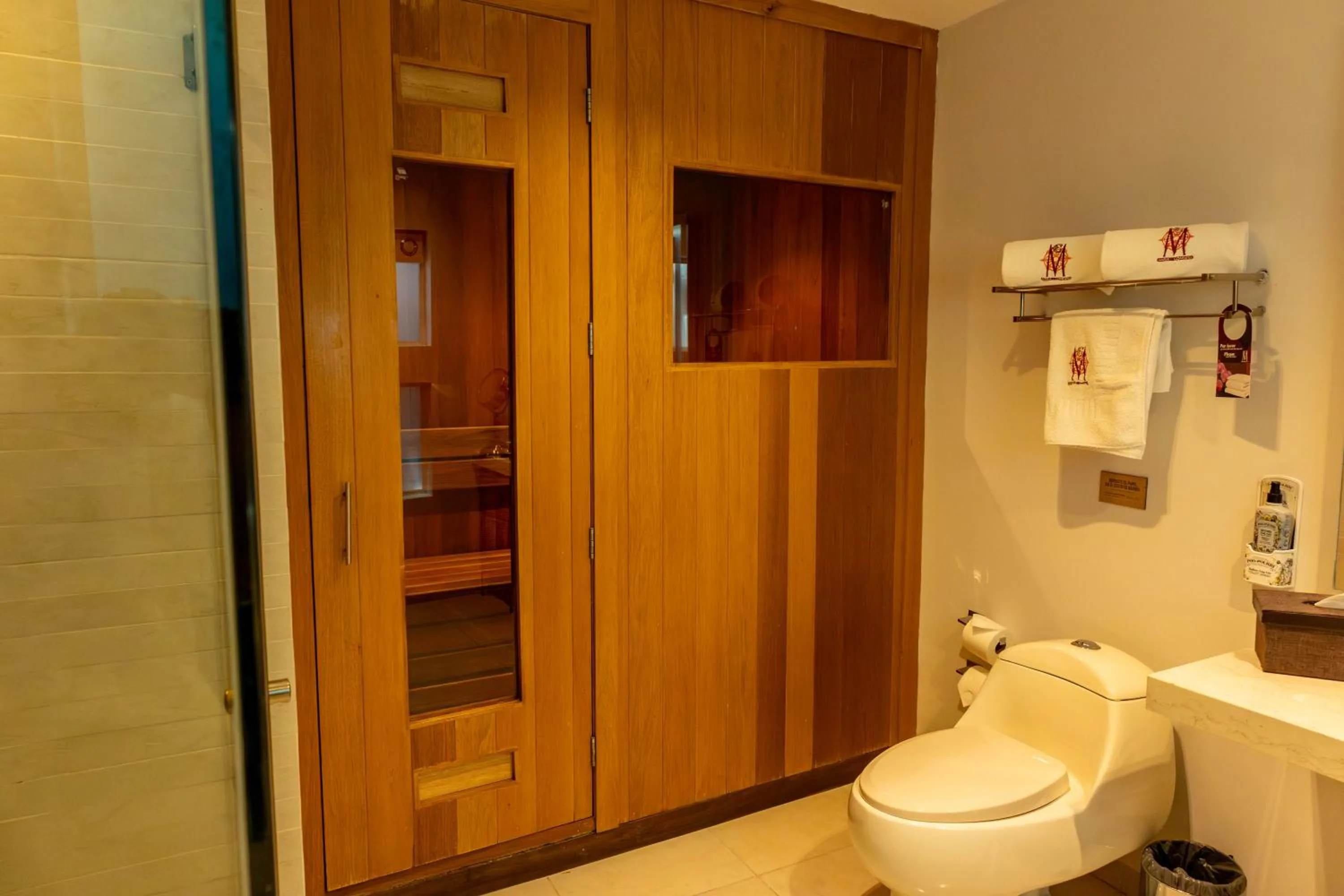 Sauna in Maria Condesa