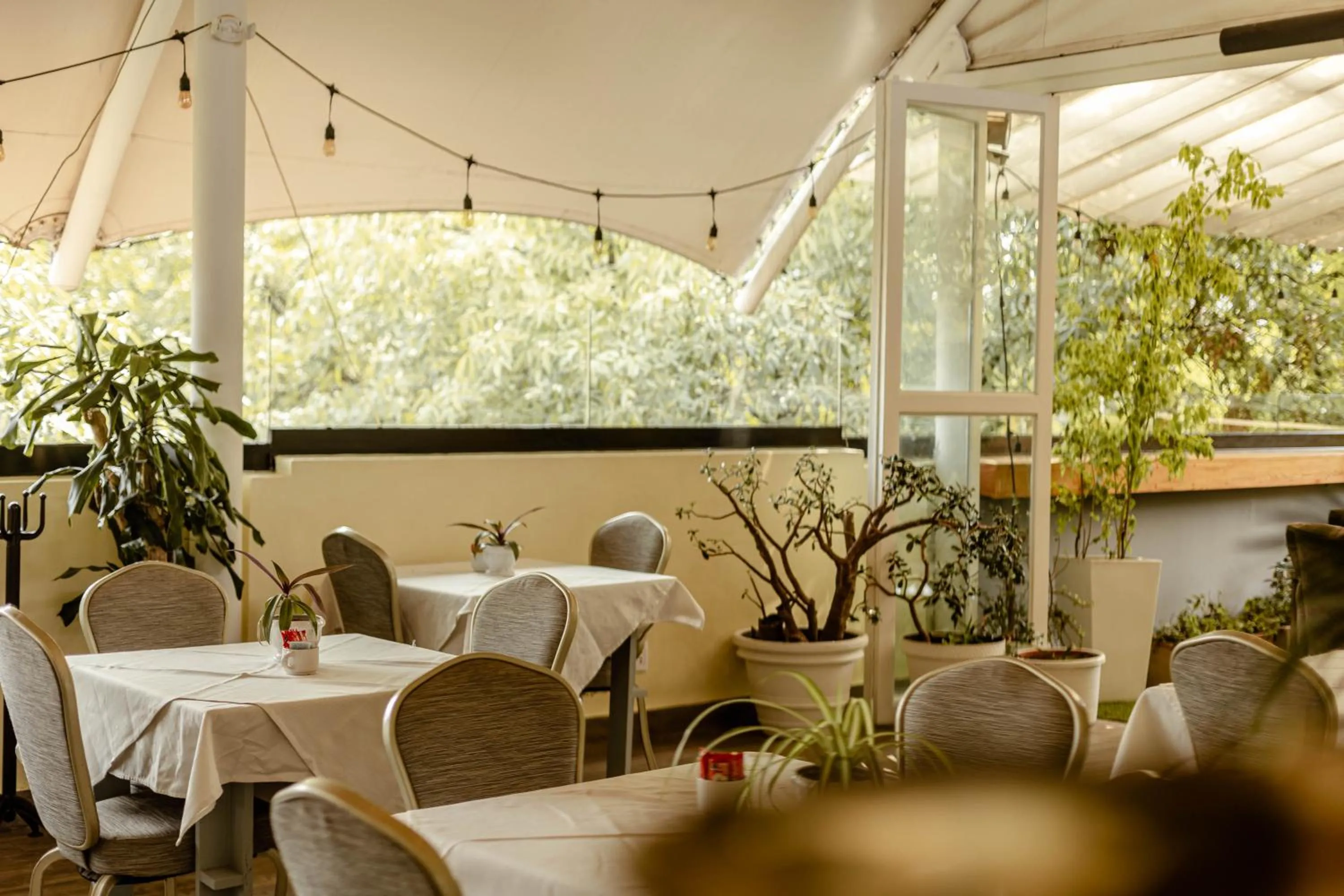 Restaurant/places to eat in Maria Condesa