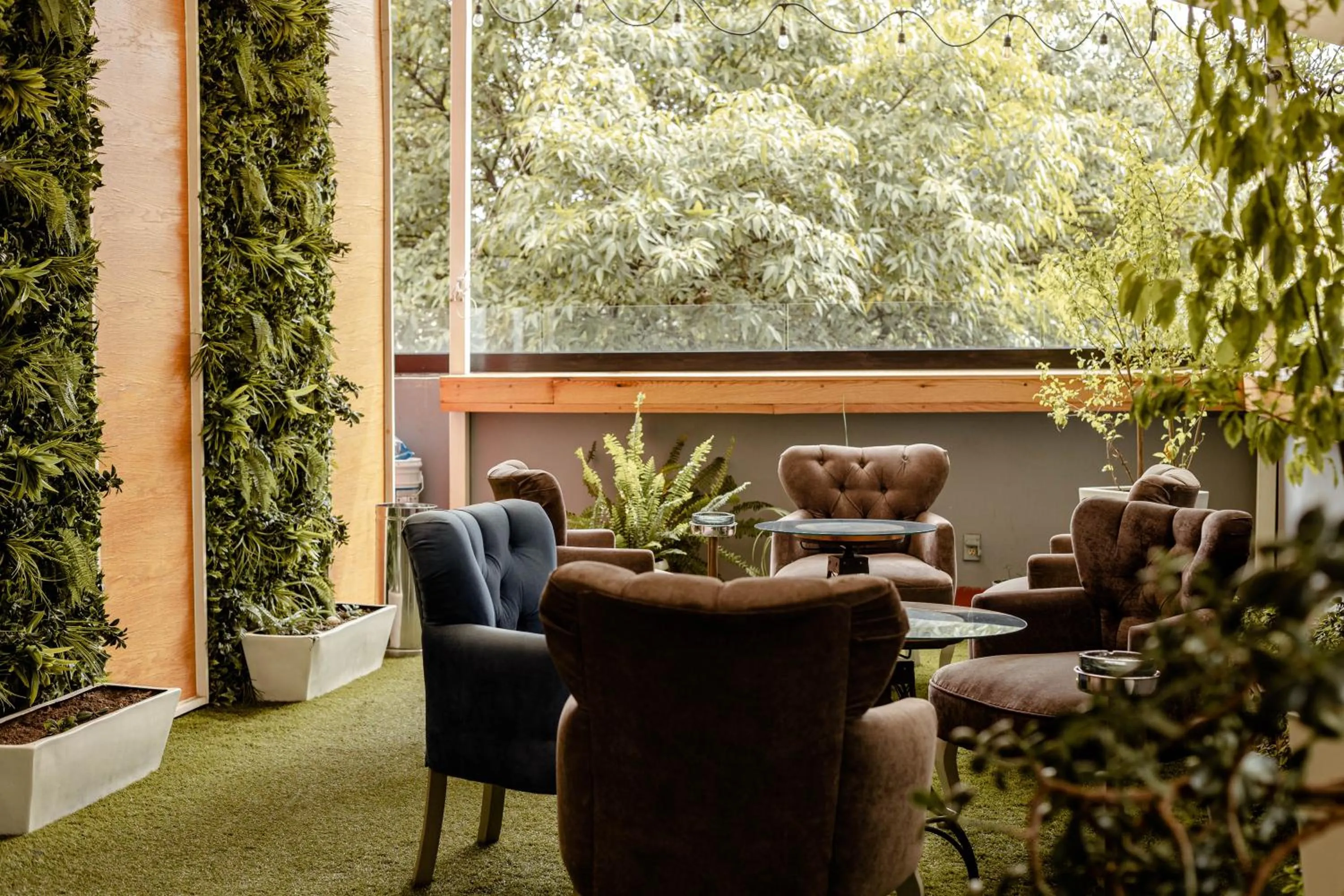 Balcony/Terrace in Maria Condesa