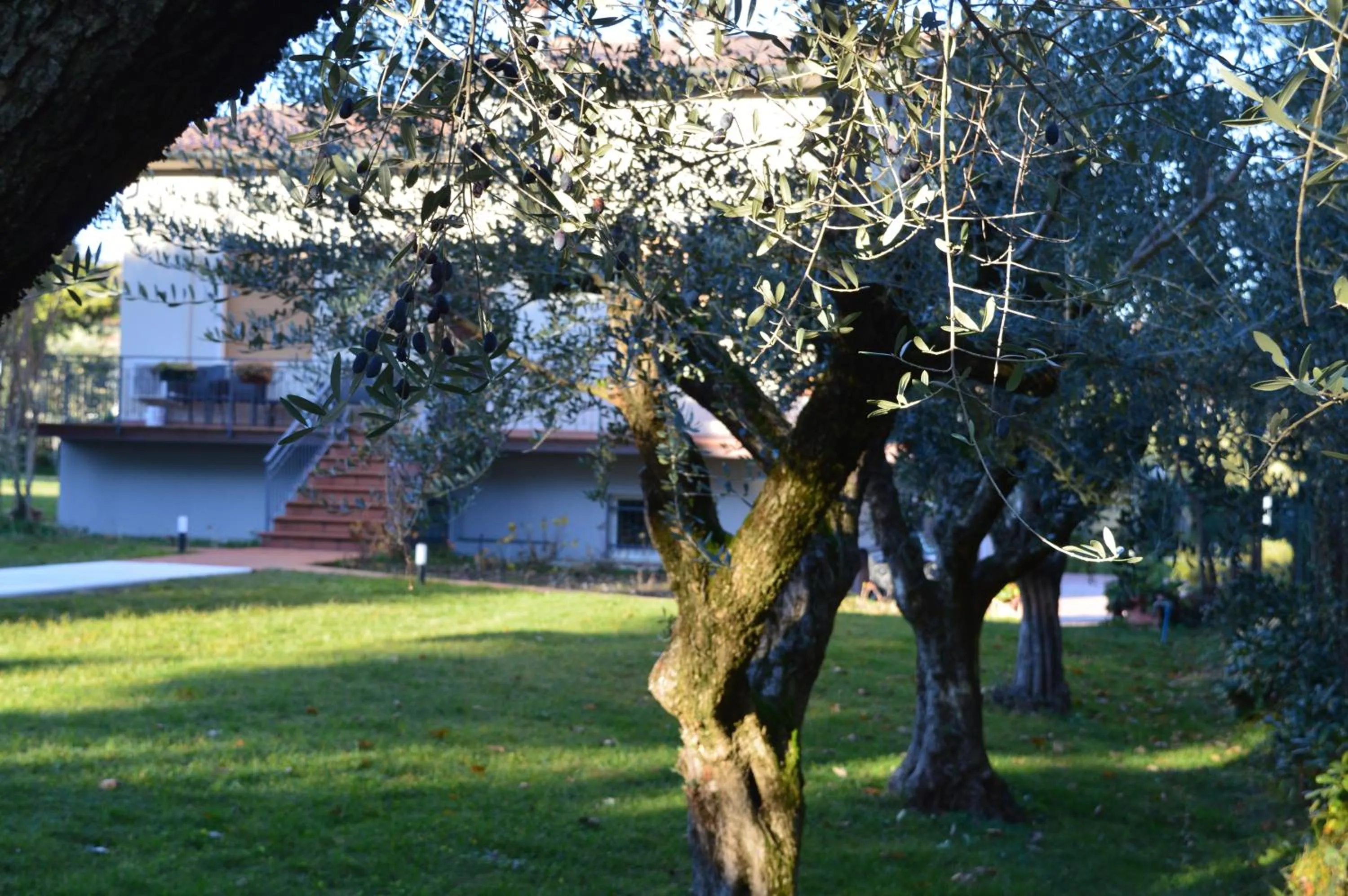 Garden in The Swan B&B