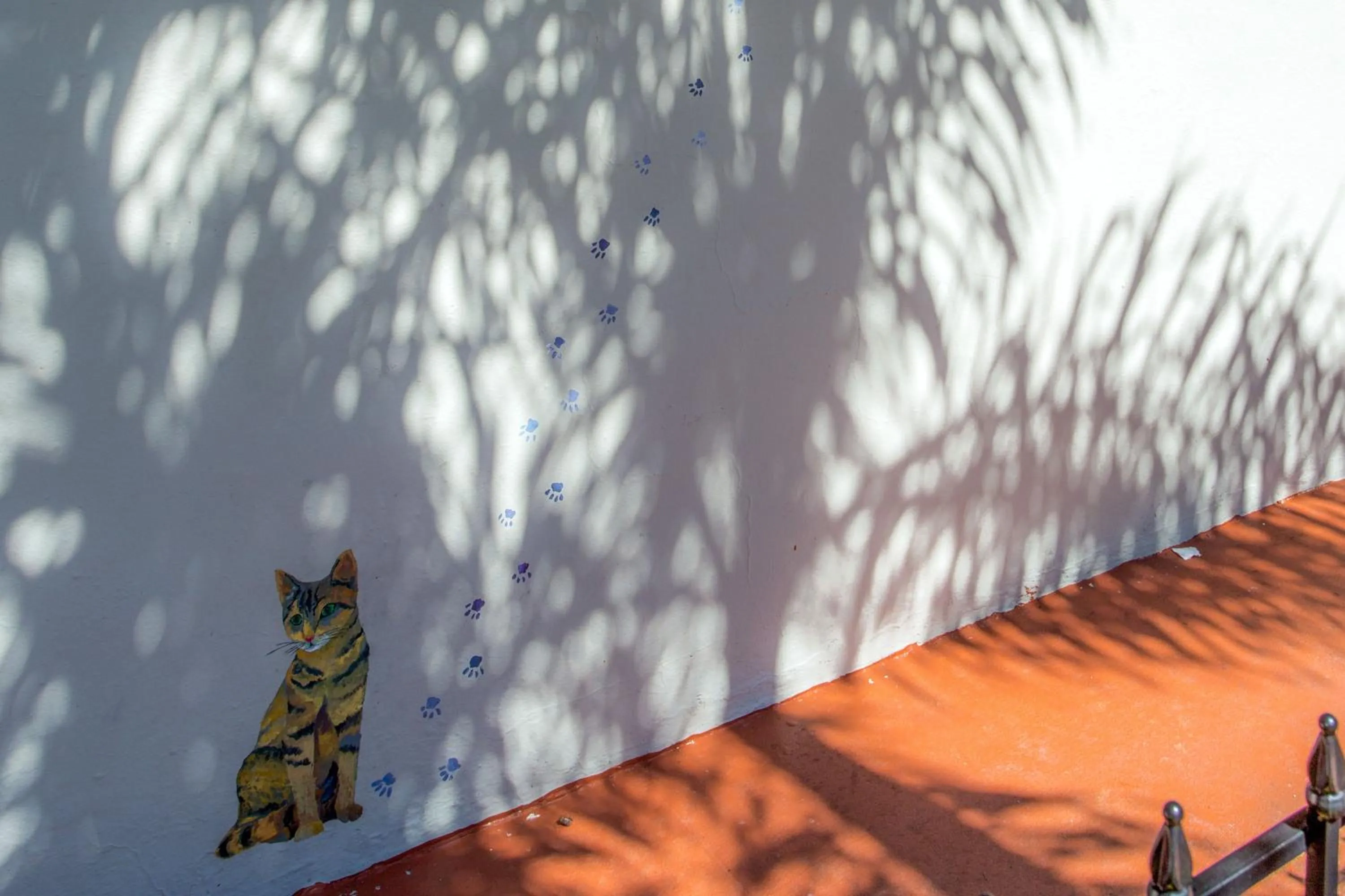 Day in Richard's Pet Friendly Motel