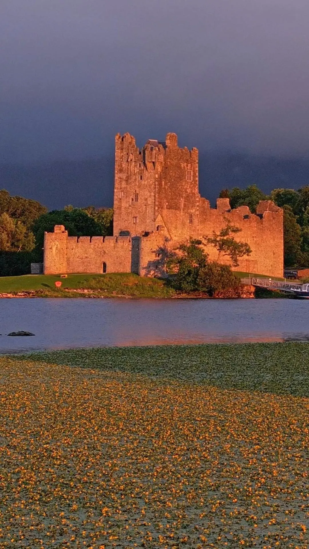 Natural landscape in Earls Court House