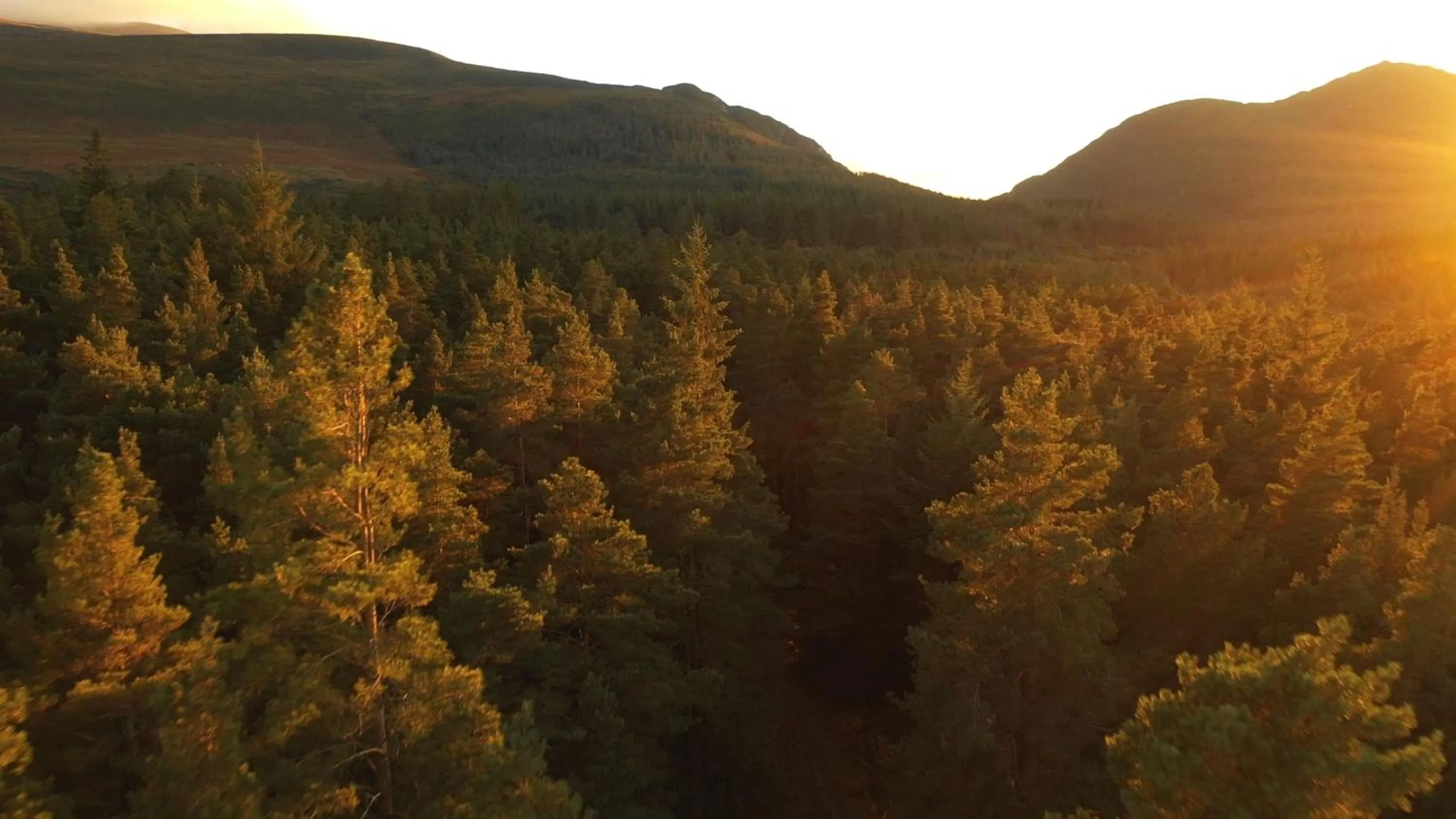 Natural landscape in Earls Court House