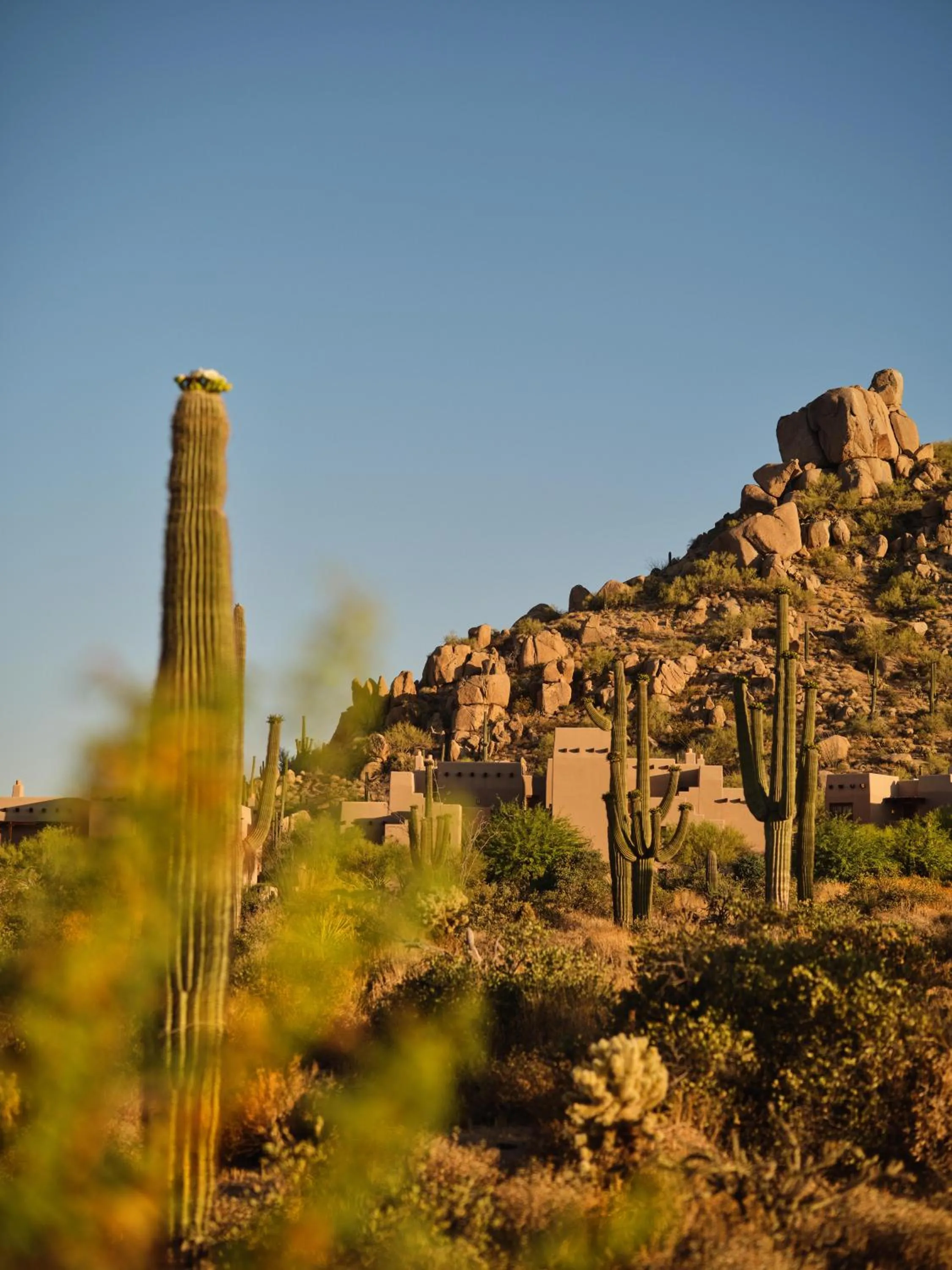 Four Seasons Resort Scottsdale at Troon North
