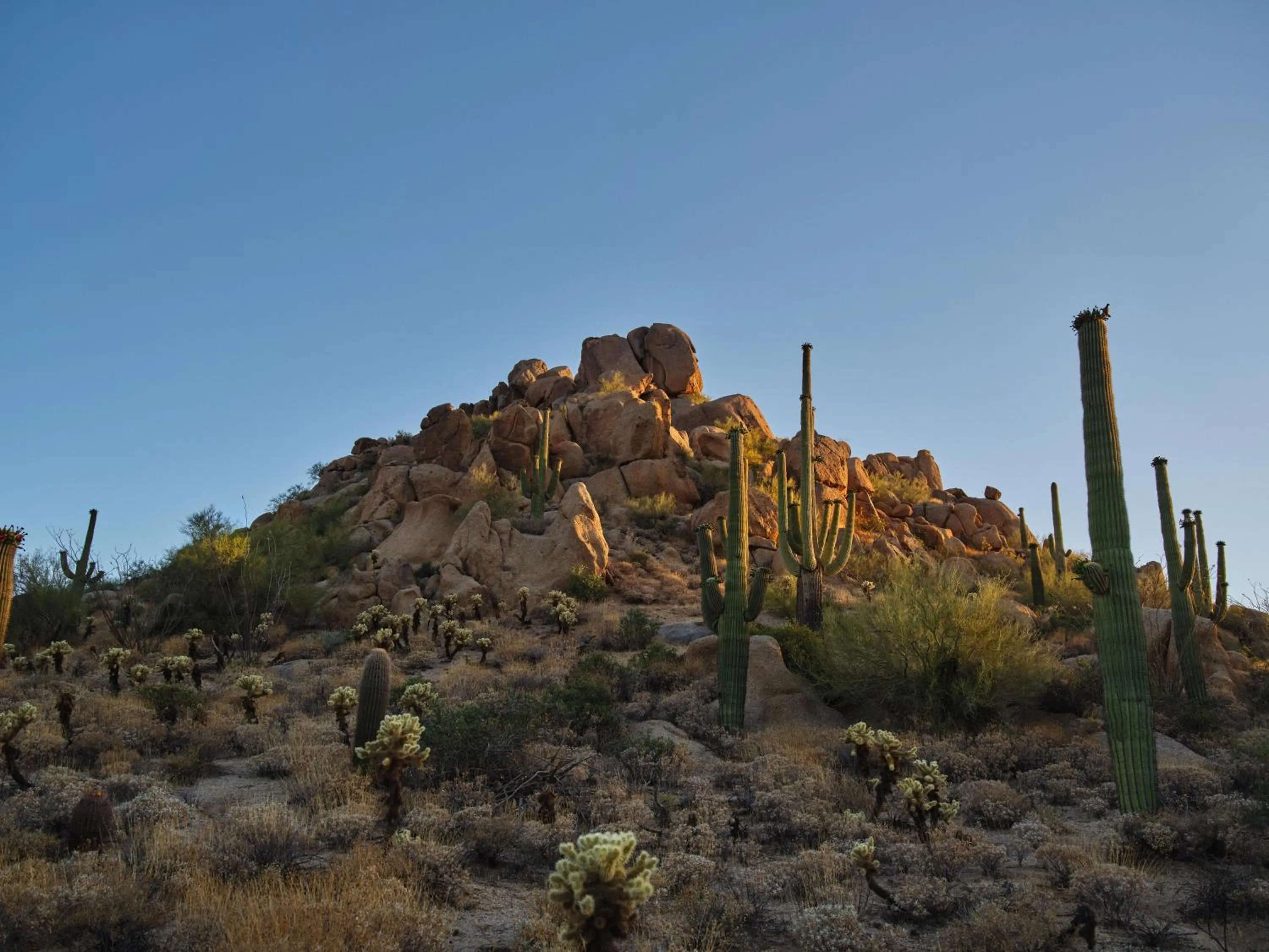 Four Seasons Resort Scottsdale at Troon North