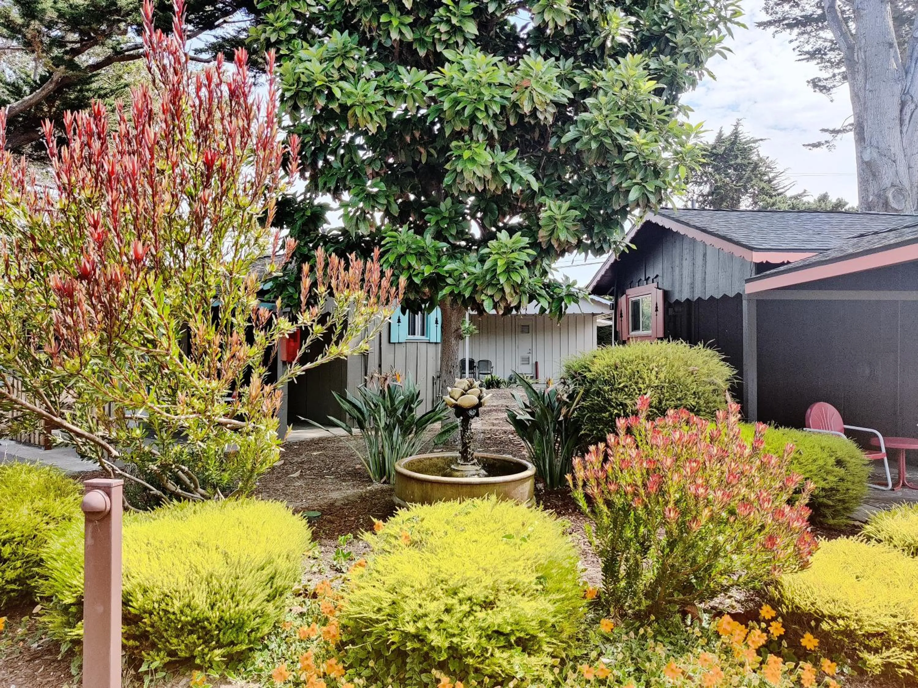 Garden in Carmel River Inn & Cottages