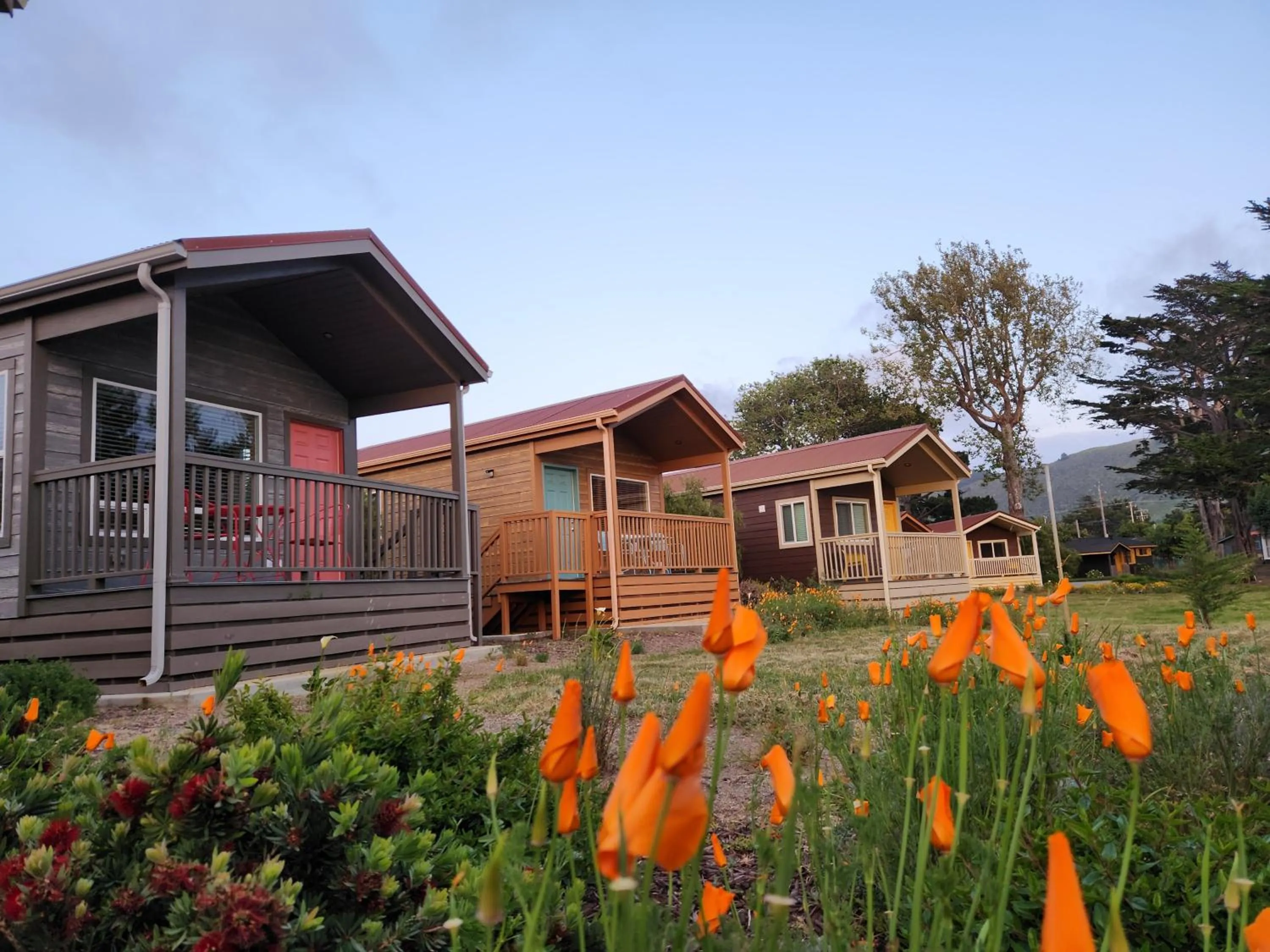 Garden in Carmel River Inn & Cottages