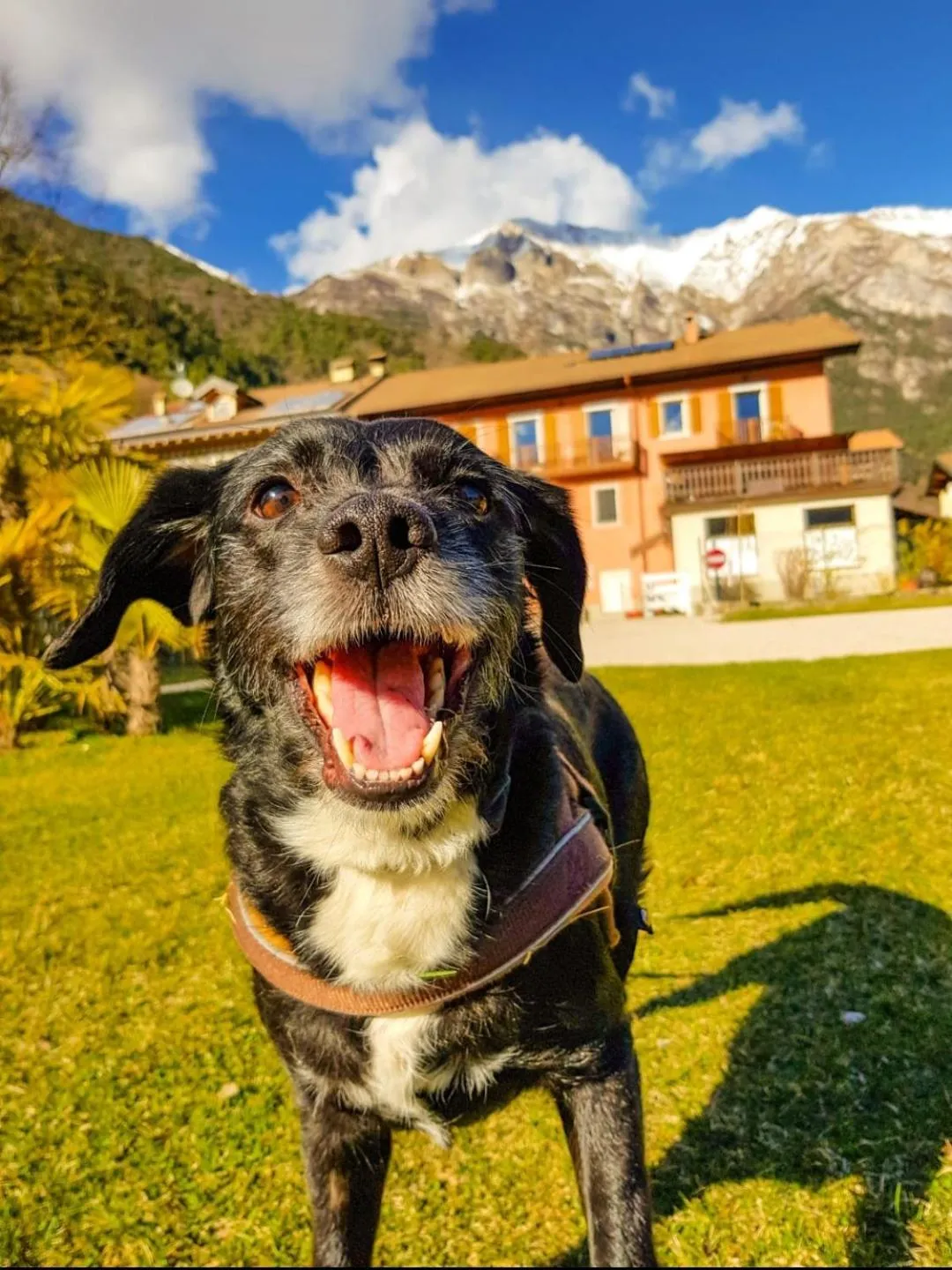 Ledro Lake Suite "Pur"