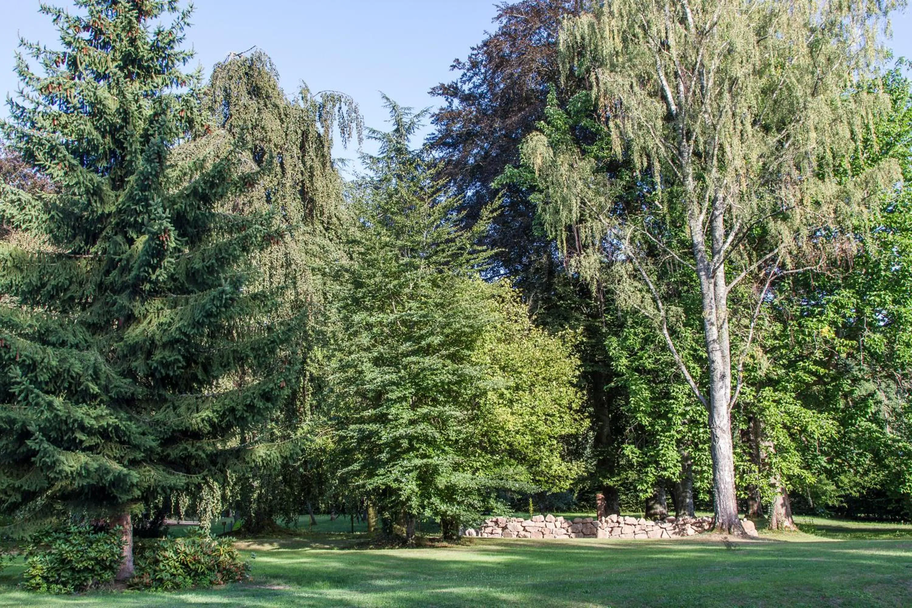 Garden in Chambres d'hôtes Domaine des Iris