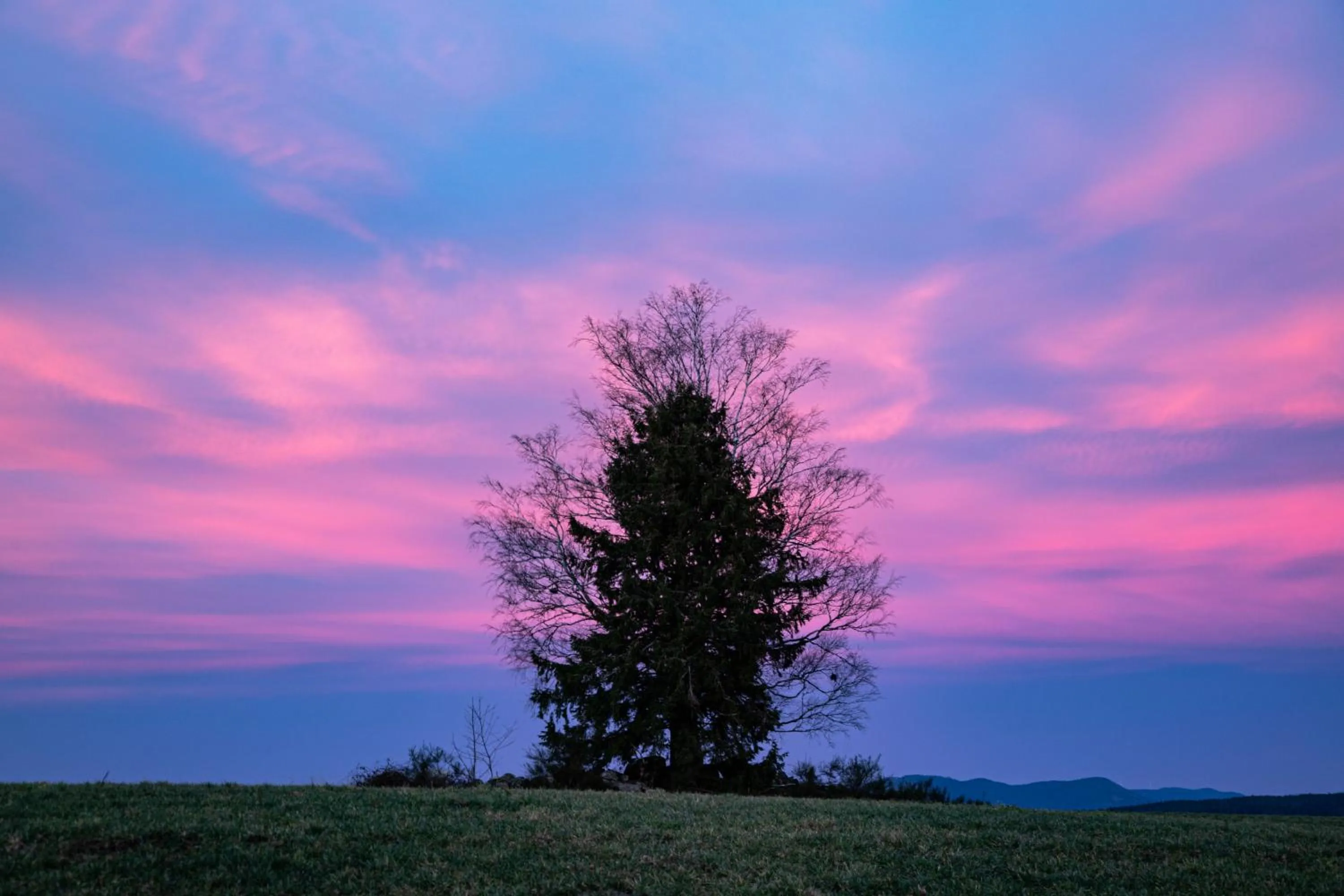 Sunset in Chambres d'hôtes Domaine des Iris