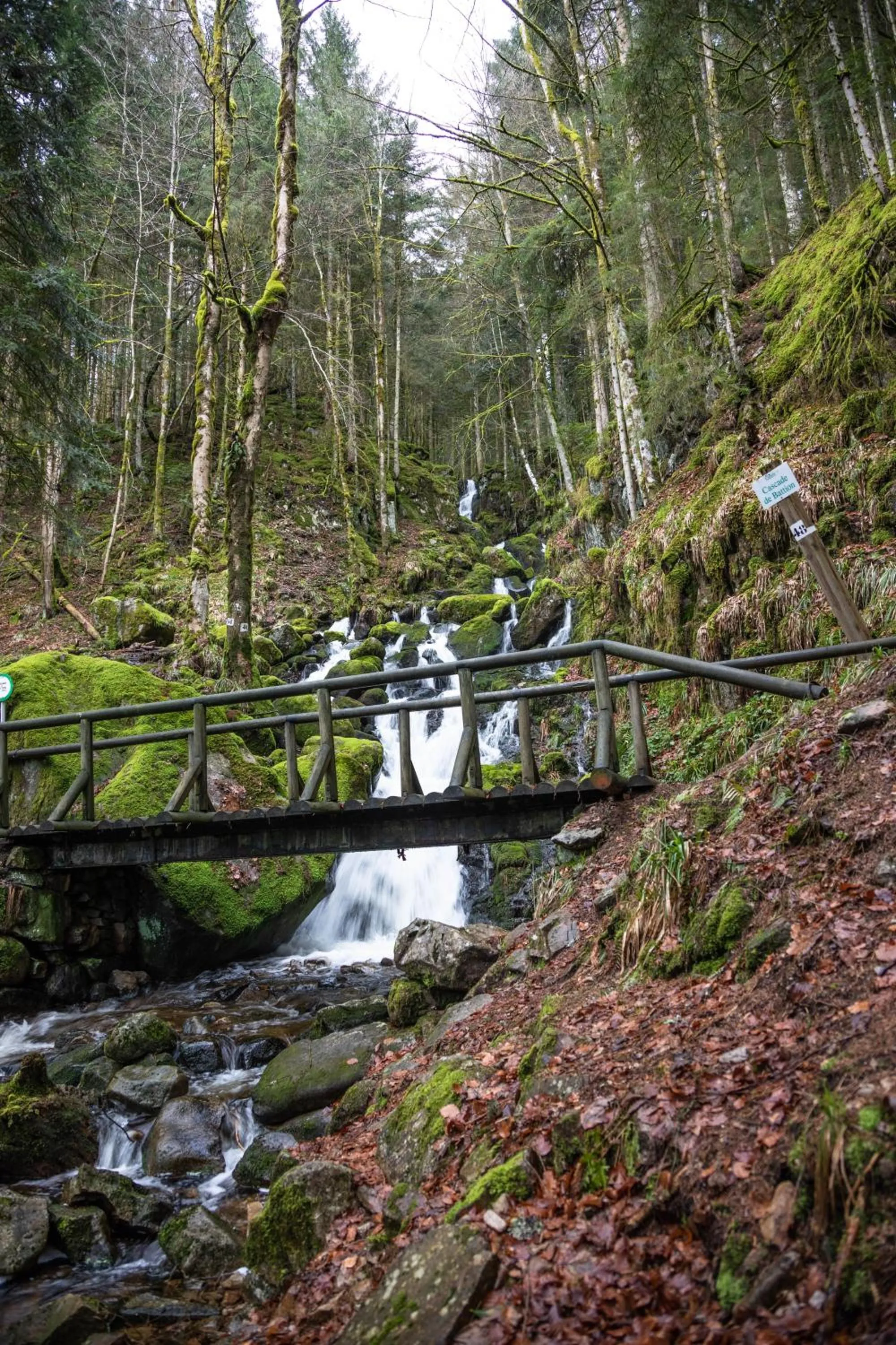 Hiking in Chambres d'hôtes Domaine des Iris