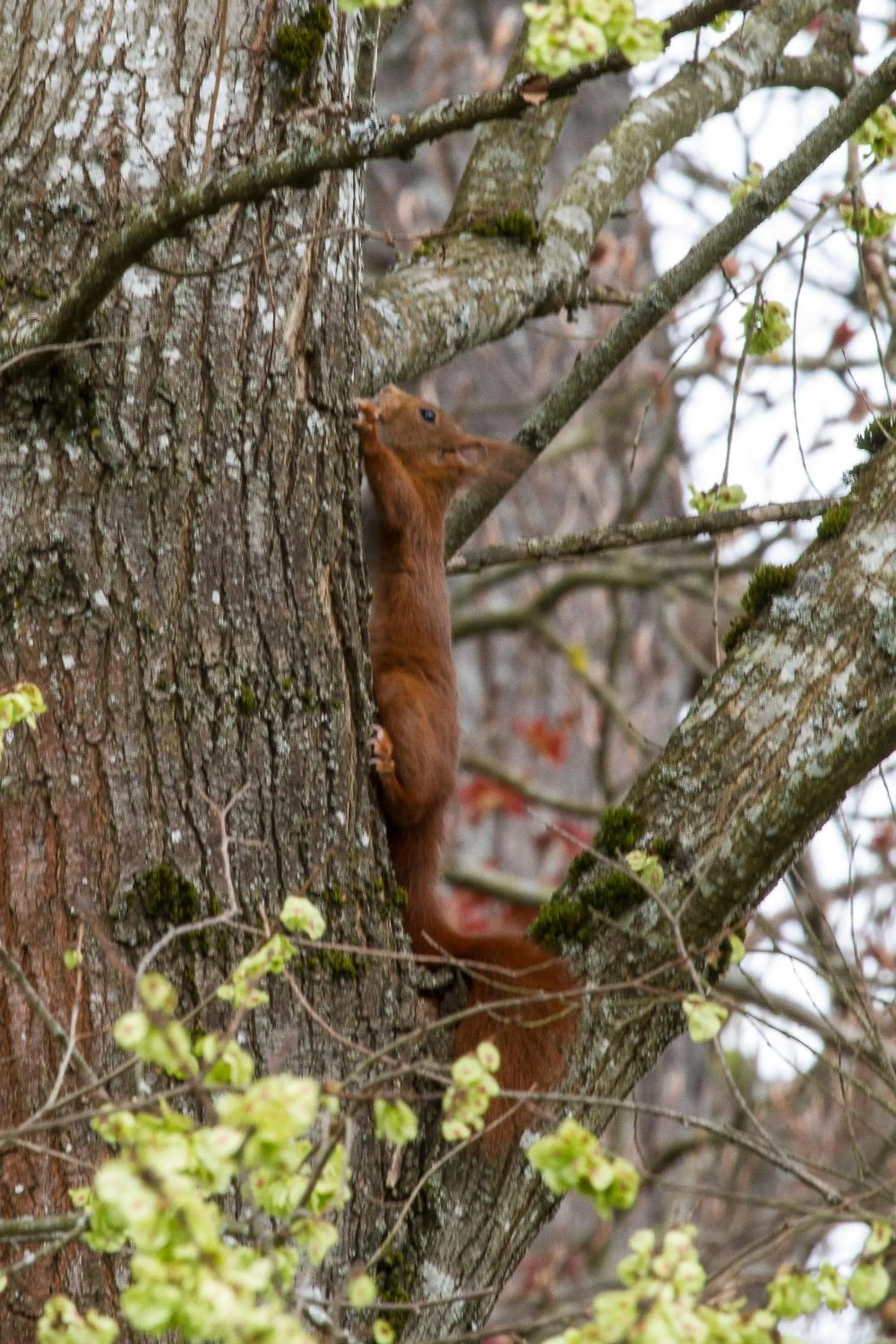Garden in Chambres d'hôtes Domaine des Iris