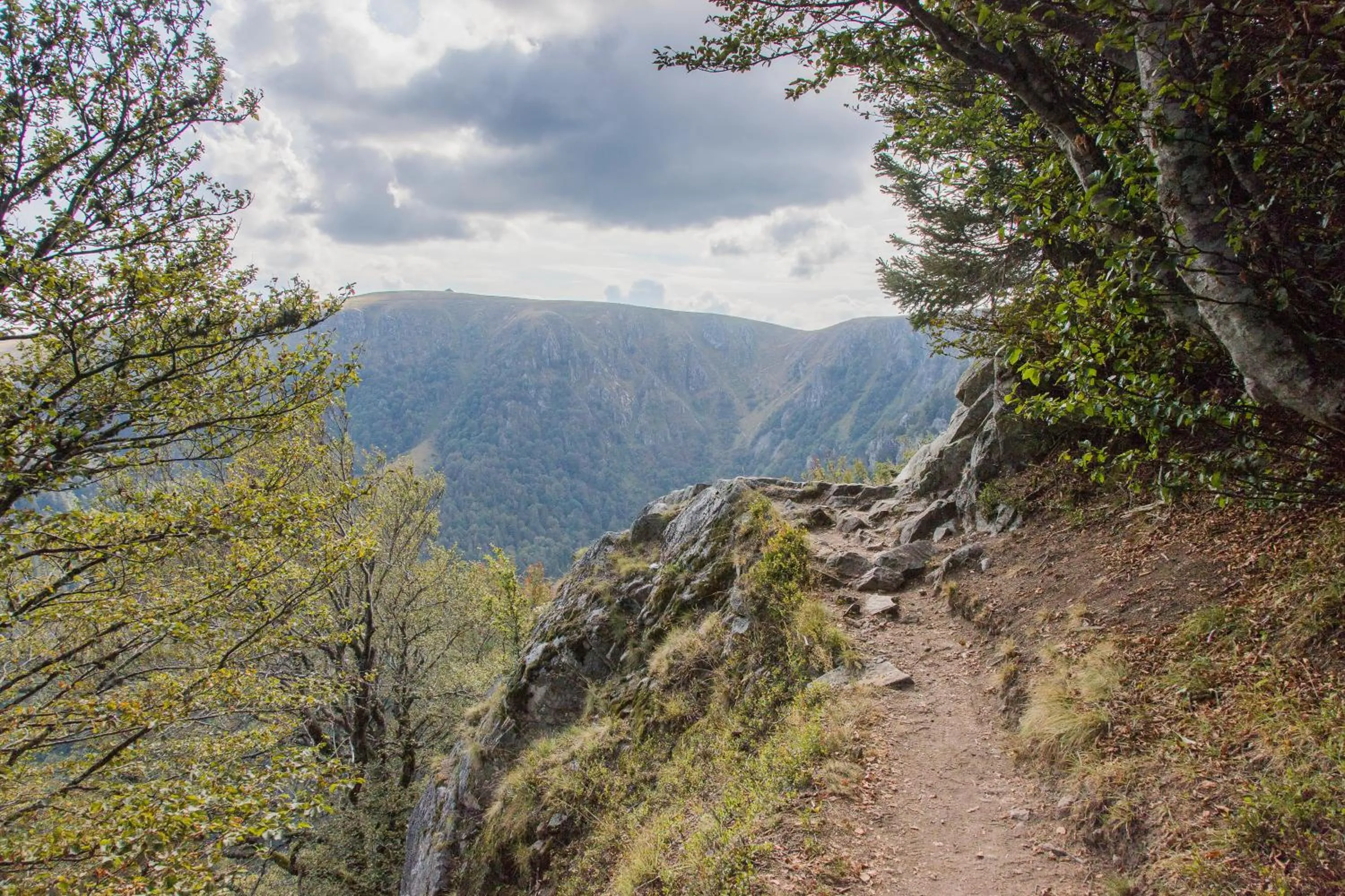 Hiking in Chambres d'hôtes Domaine des Iris