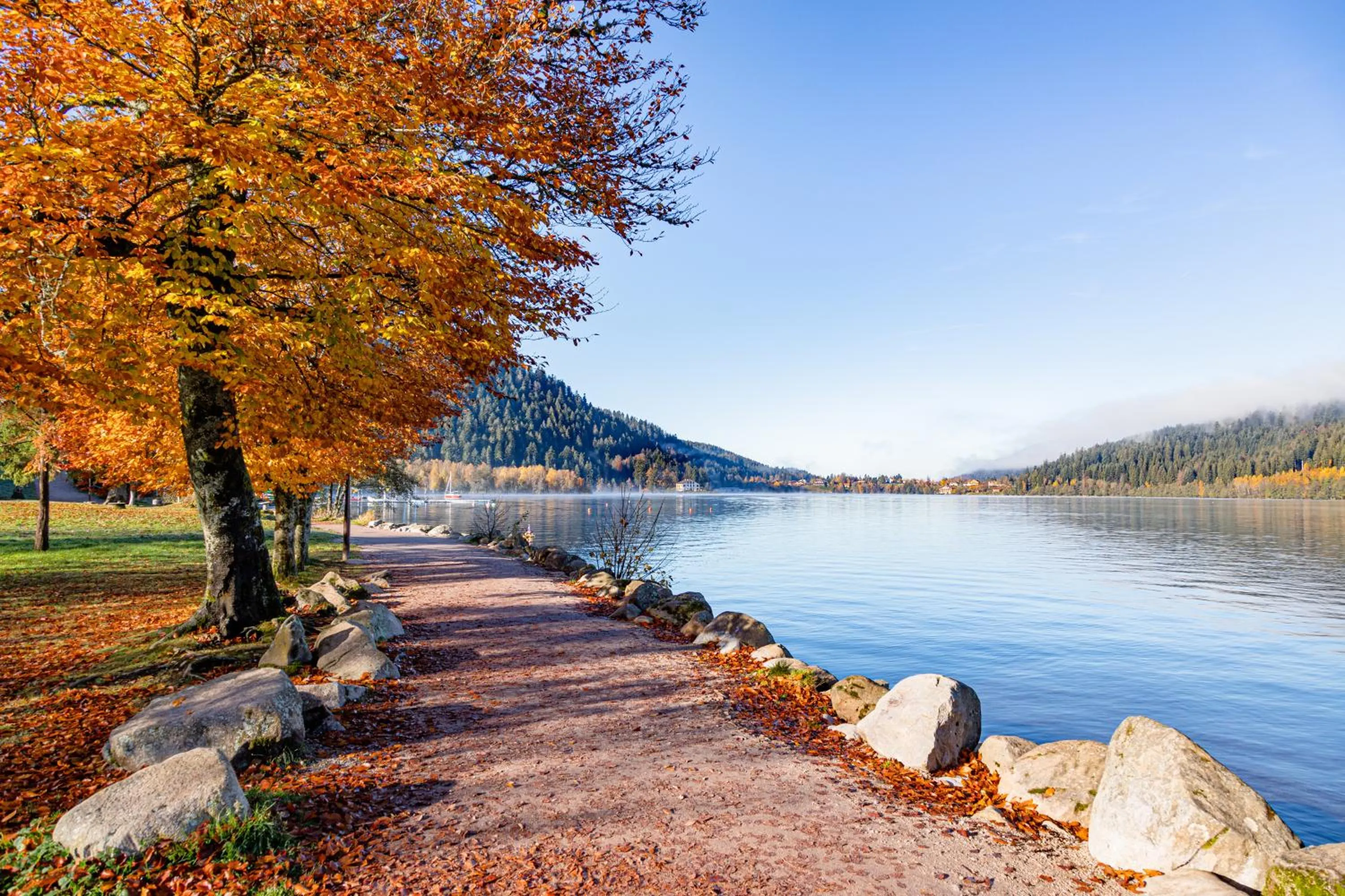 Lake view in Chambres d'hôtes Domaine des Iris
