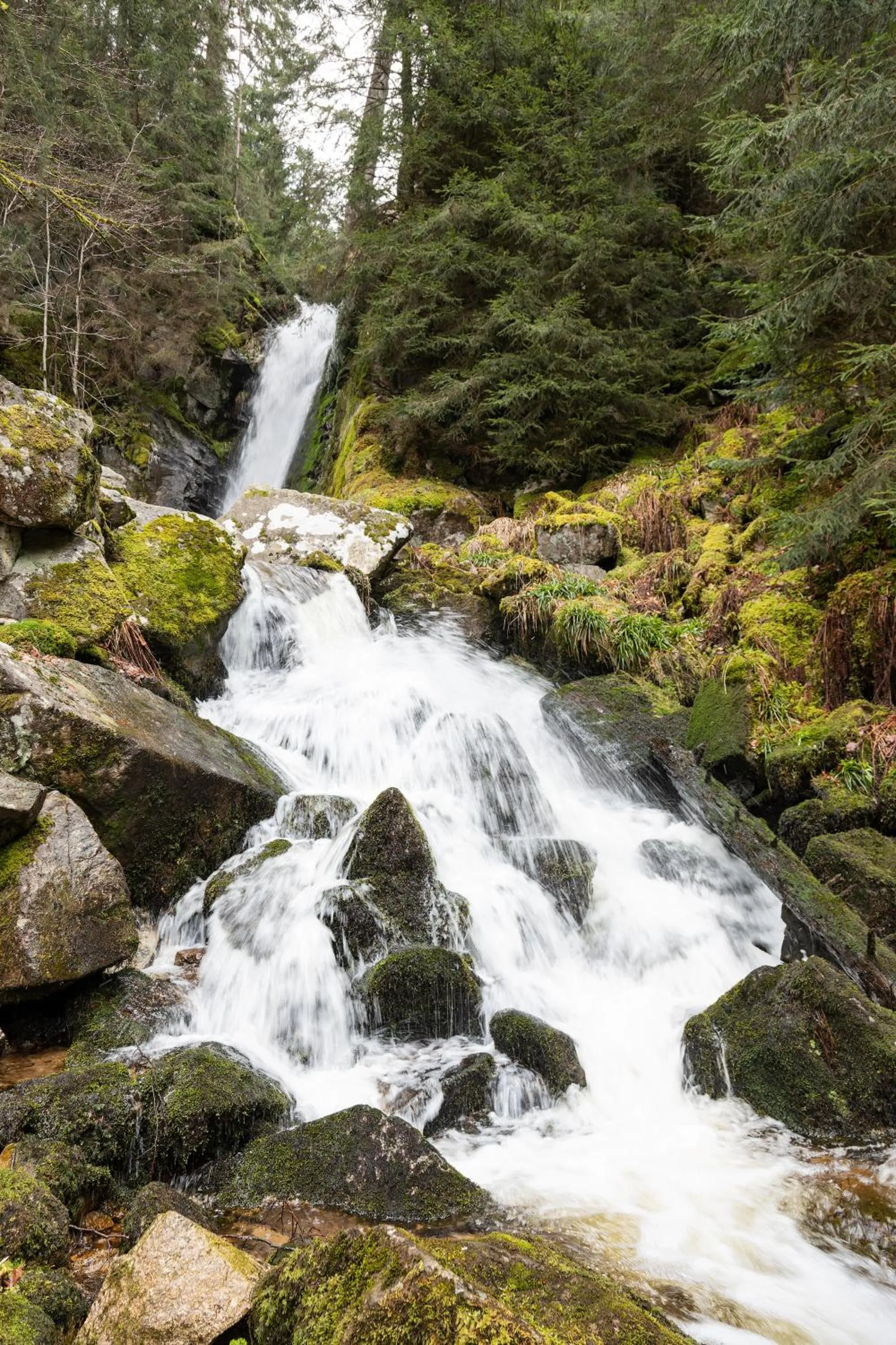 Natural landscape in Chambres d'hôtes Domaine des Iris