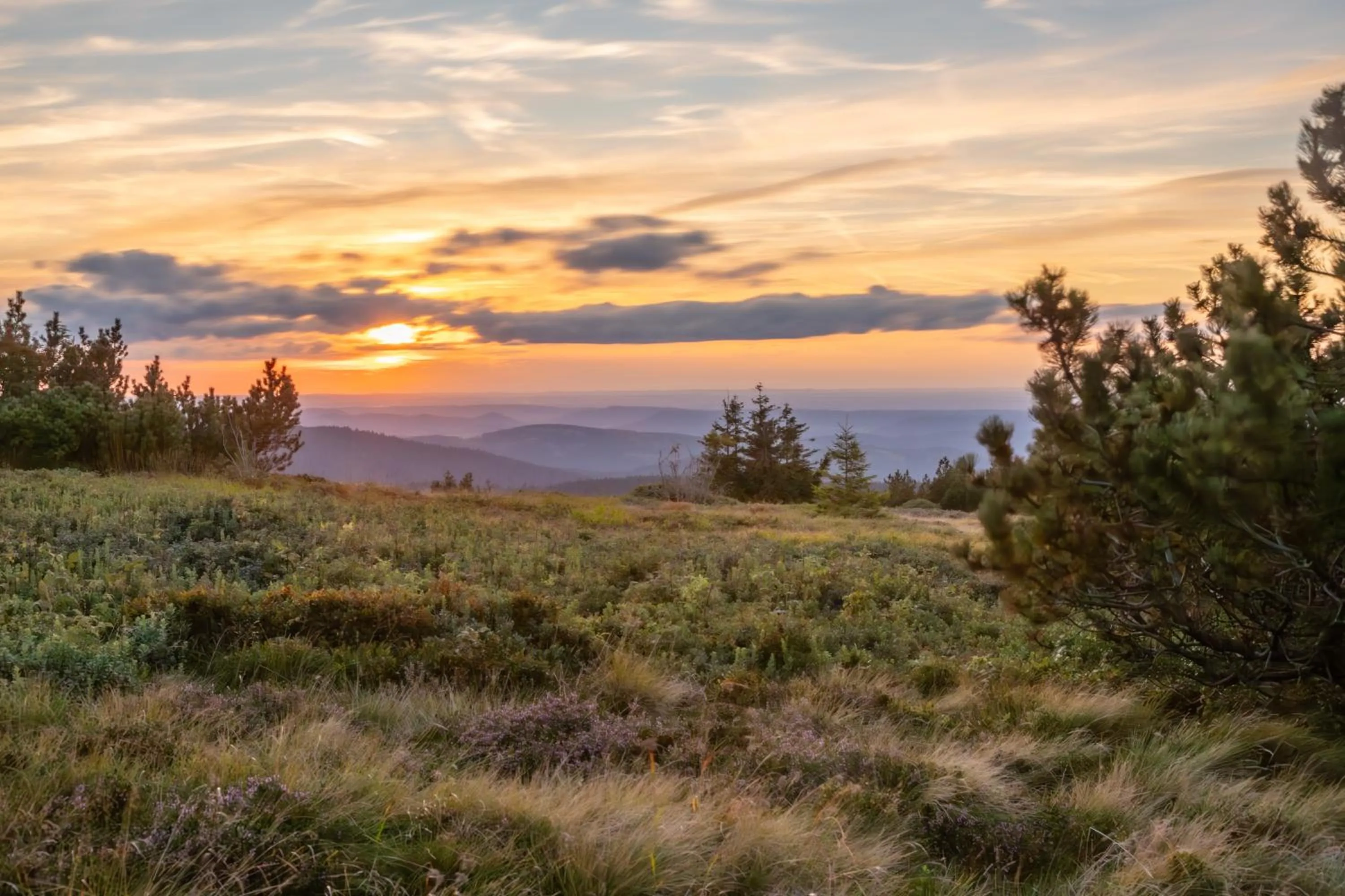 Sunset in Chambres d'hôtes Domaine des Iris